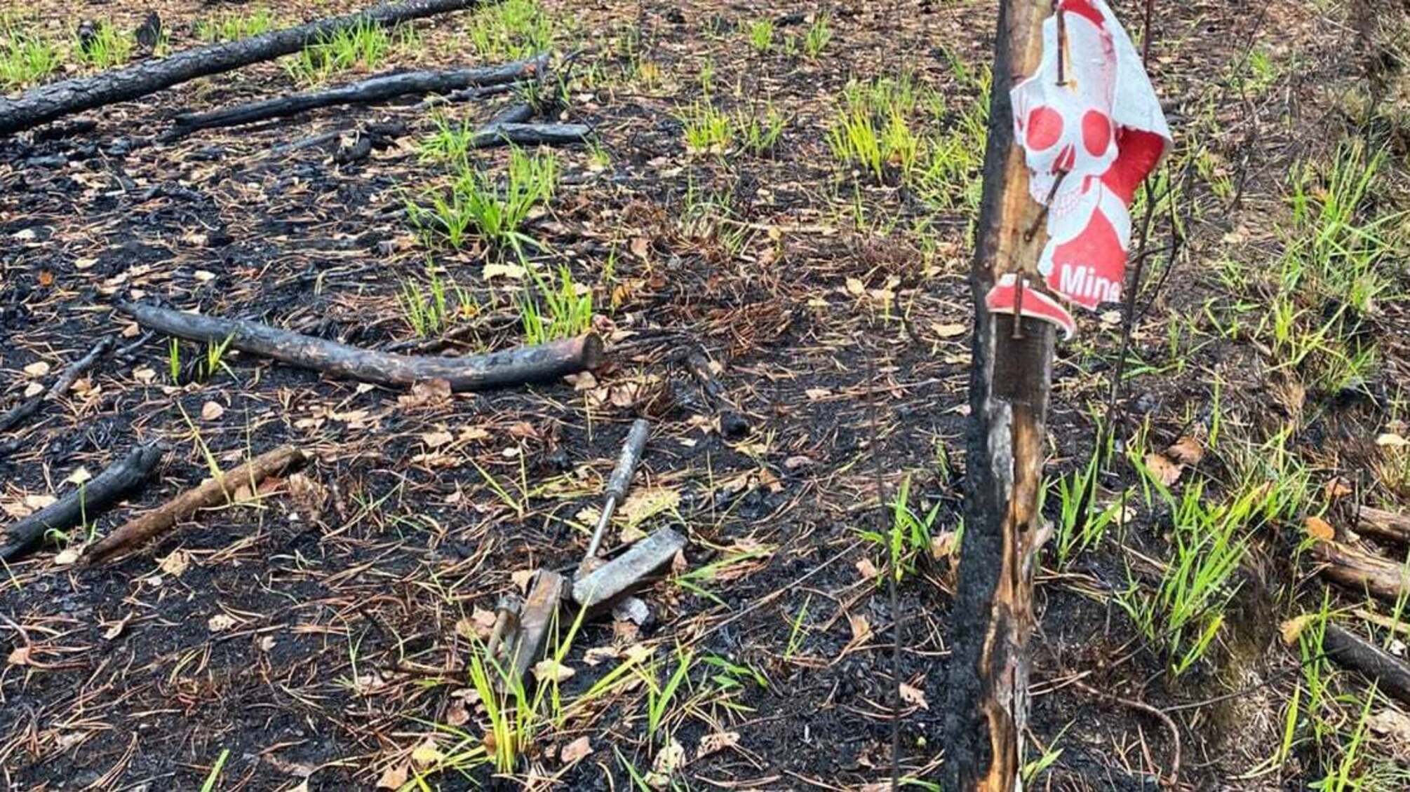 На півночі Житомирщини два авто підірвалися на мінах
