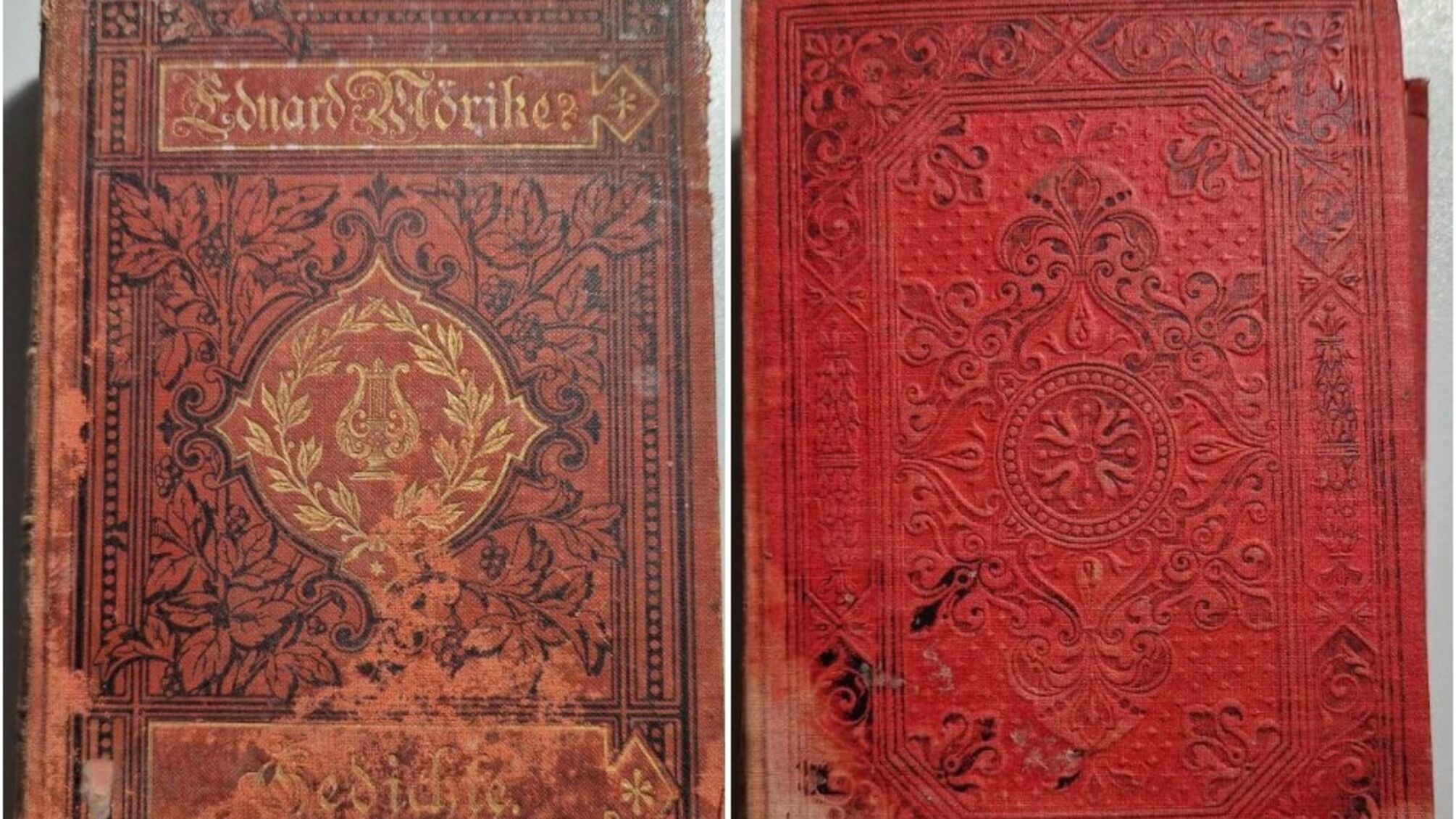 В Одесской области таможенники пресекли попытку вывоза старинных книг, предположительно из библиотеки Грушевского