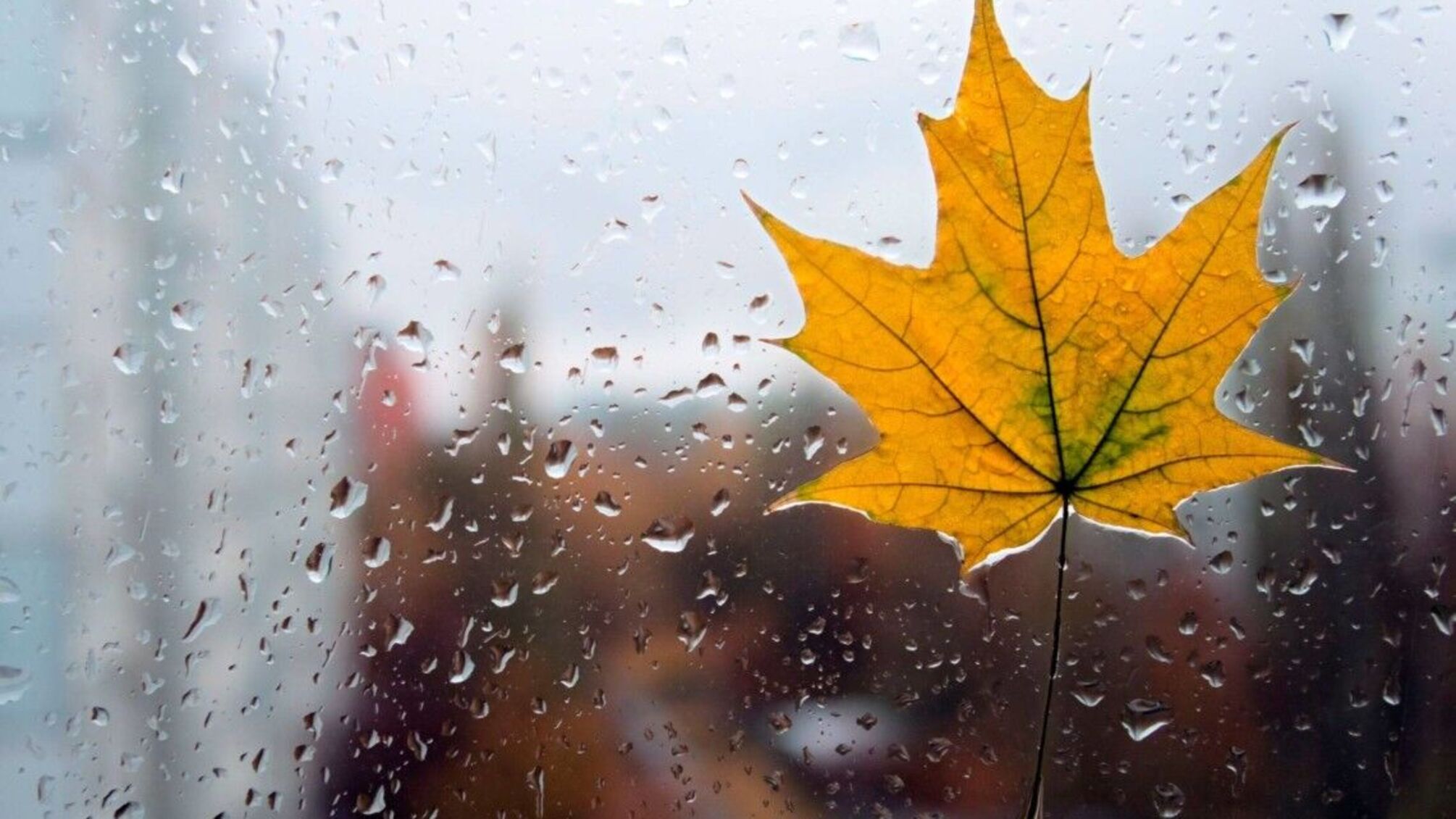 Сильні дощі, шквали та туман: погода в Україні на 5 жовтня