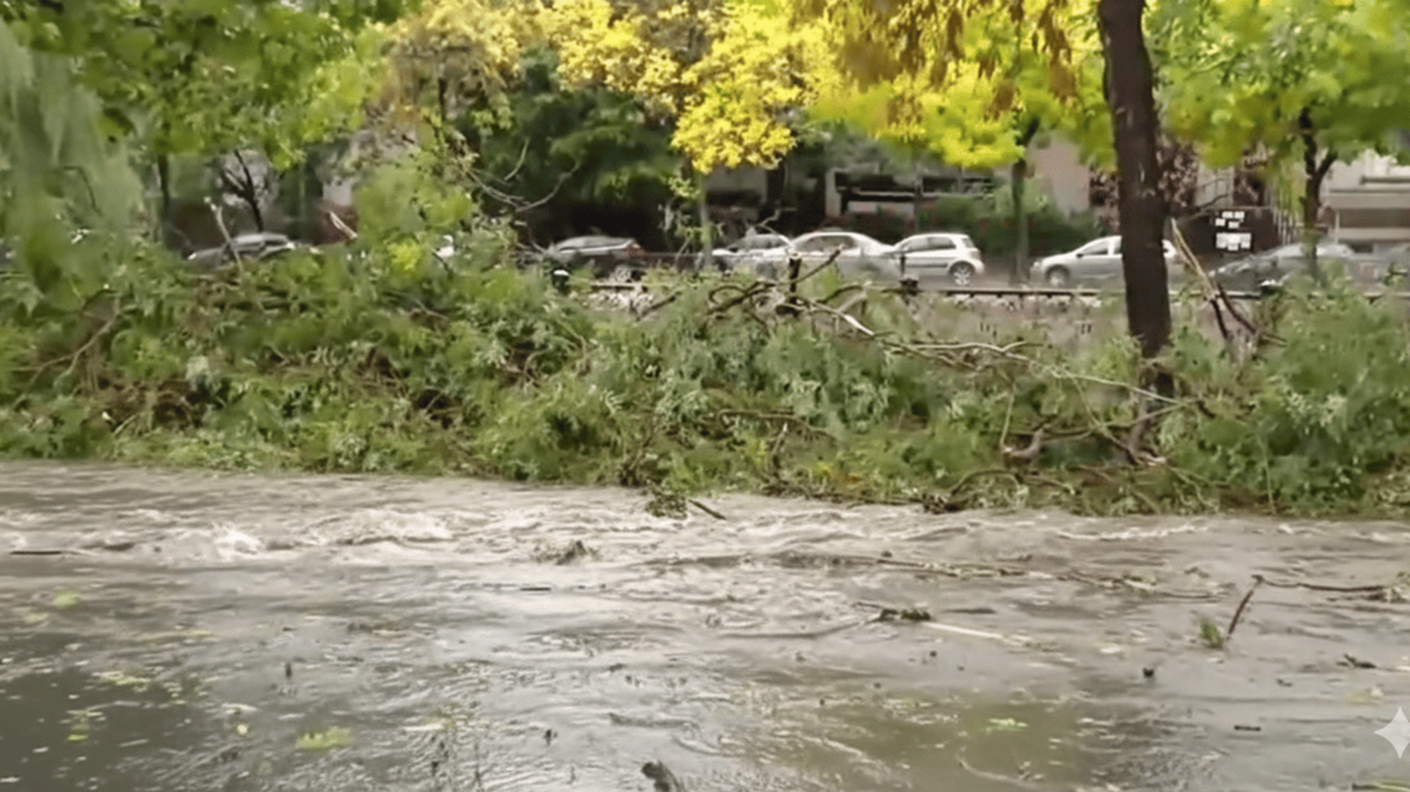 Непогода в Румынии: горные курорты остались без света, столица и побережье понесли масштабный ущерб