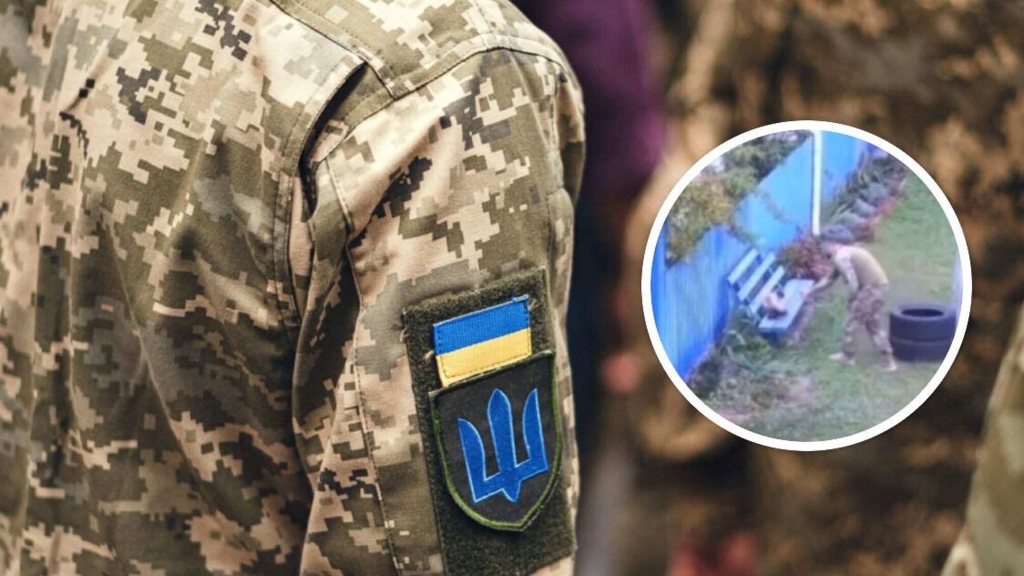 Підозри в викраденні кота