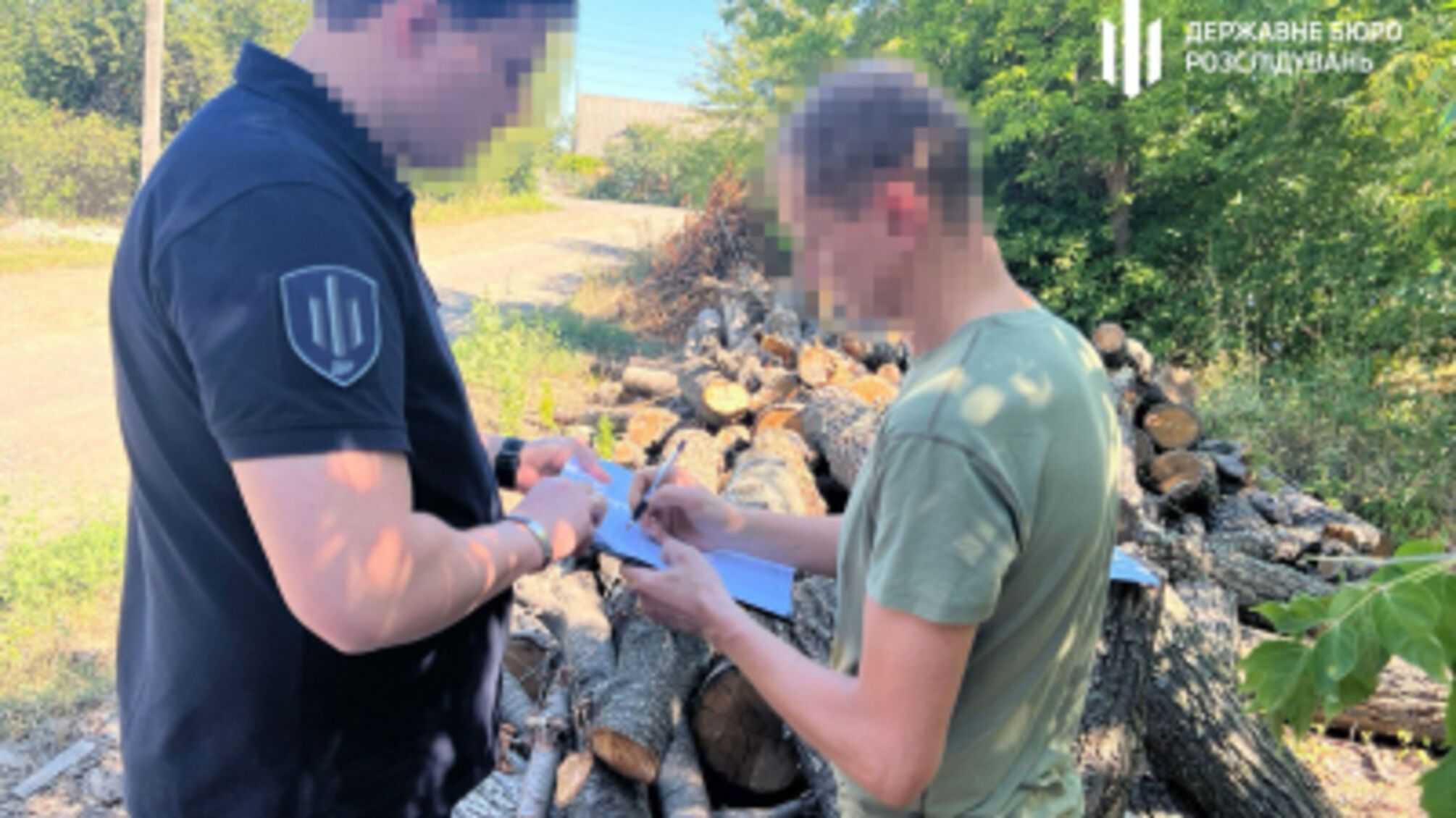 На Кіровоградщині судитимуть посадовця лісгоспу, який дозволив знищити сторічні дерева на понад 4 мільйони гривень