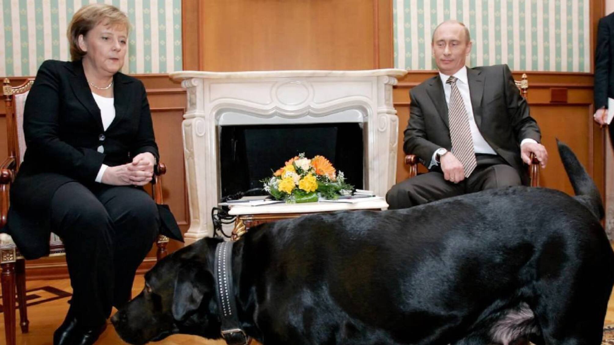 Ангела Меркель объяснила, почему ЕС не смог убедить путина остановиться