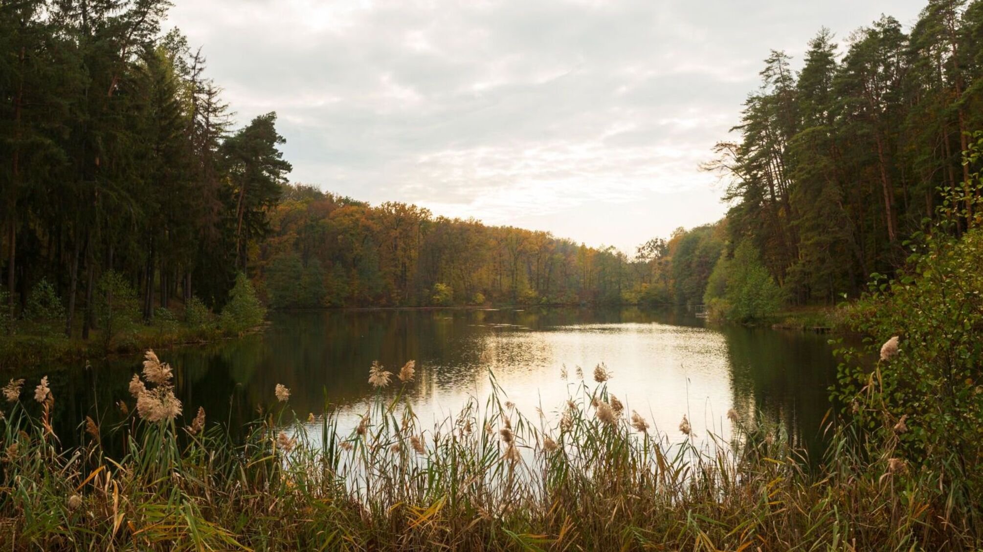 Хто святкує день янгола 8 жовтня