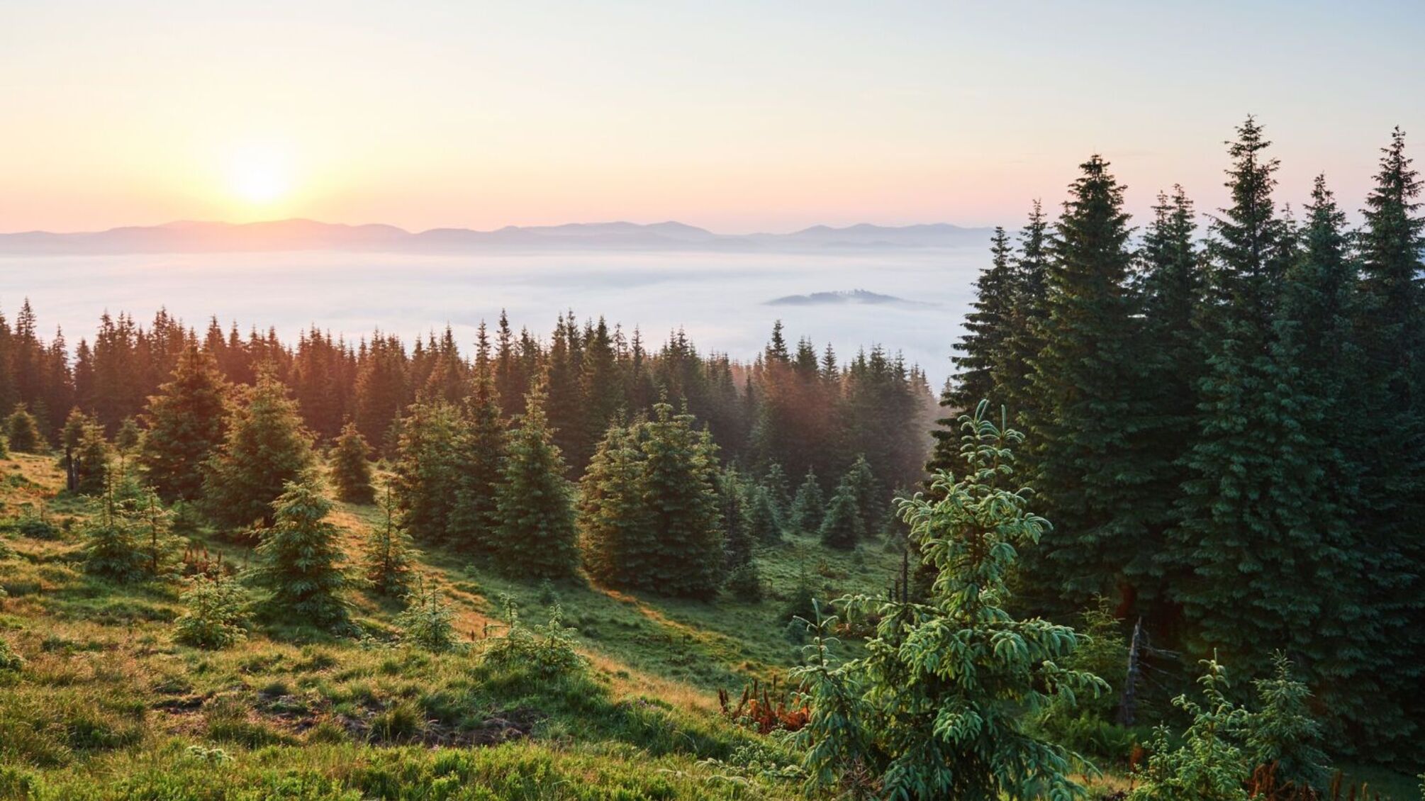 Кому дарують вітання 9 жовтня: день янгола відзначають п’ять імен