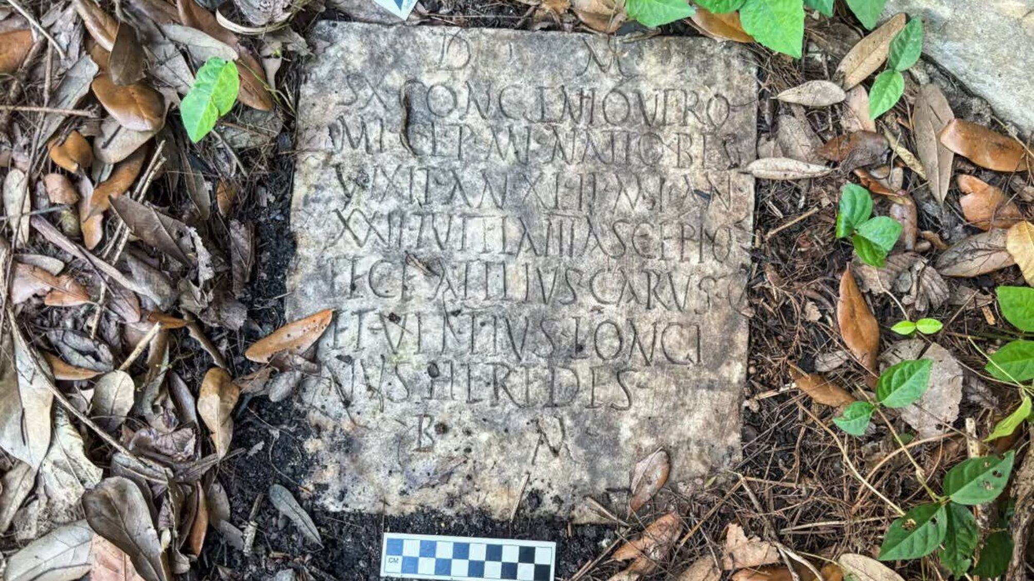 Во дворе супругов в Новом Орлеане нашли надгробие римского воина