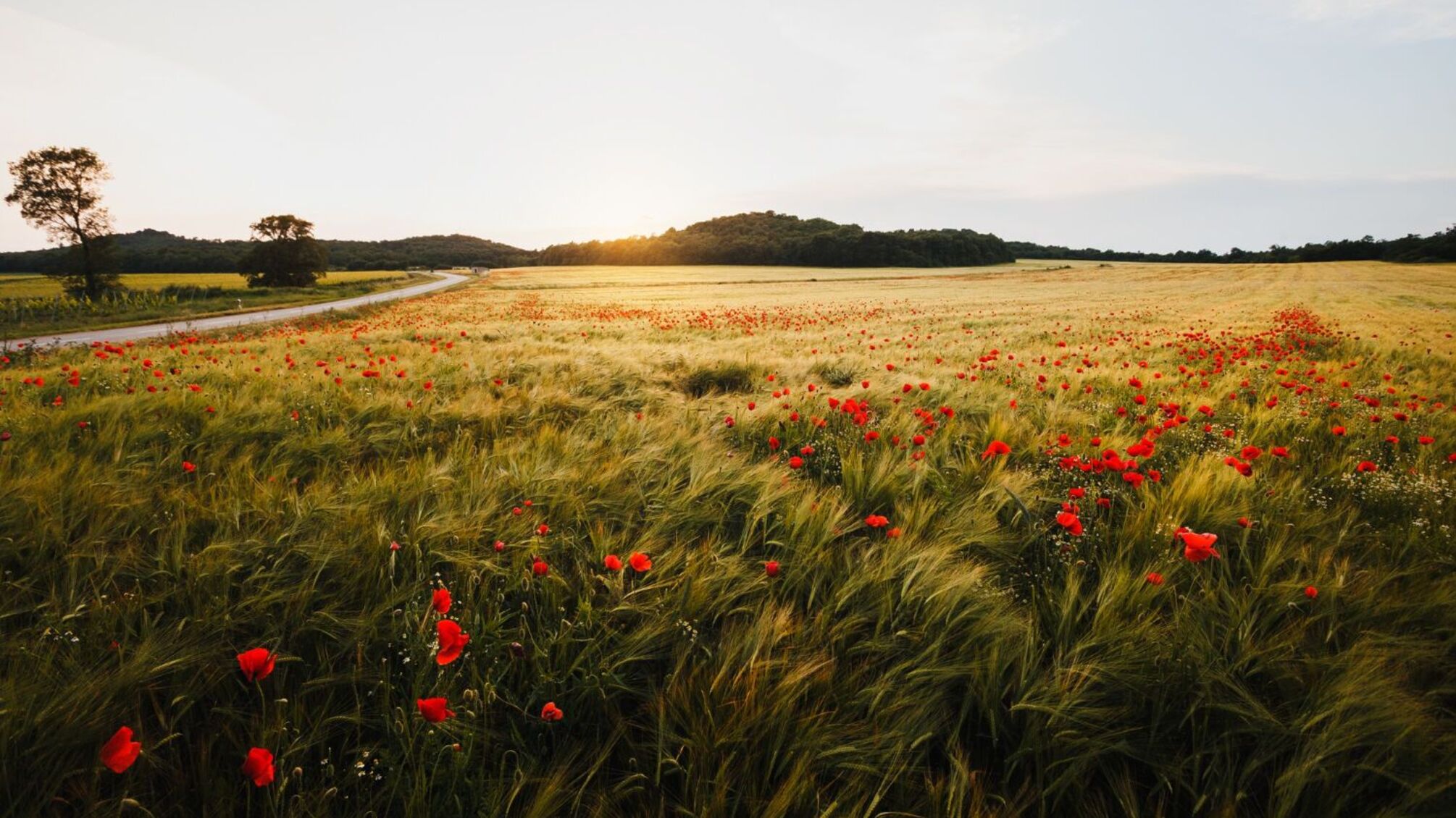 9 апреля – именины Вадима и Гаврила: происхождение имен и обычаи
