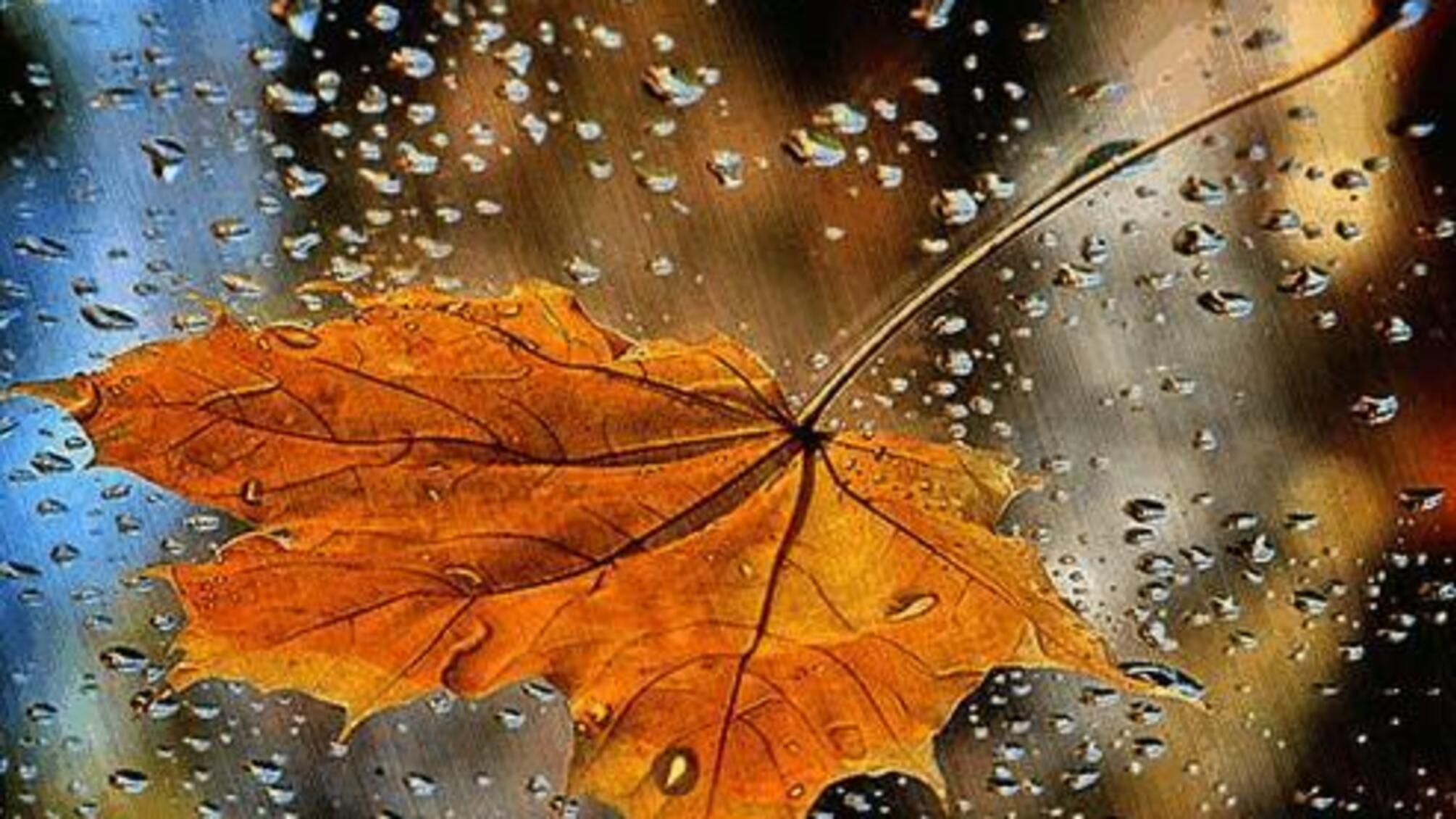 Погода в Украине: 27 октября дожди ударят с новой силой