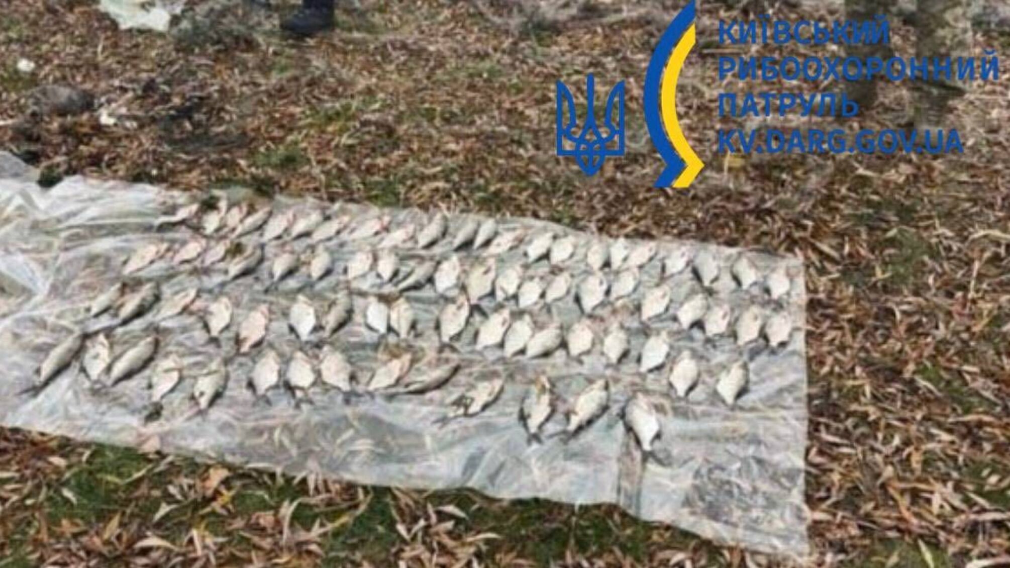 Поліція та рибоохорона затримали порушника на Канівському водосховищі