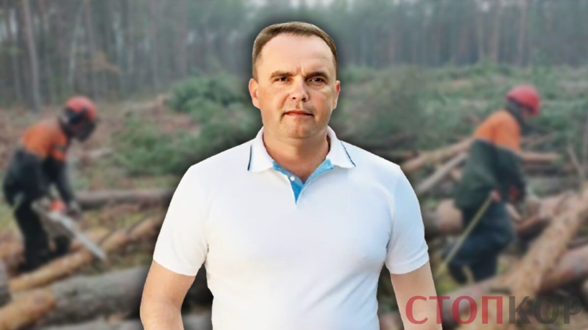 Кто 'пилит' леса Украины? СтопКор готовит масштабное расследование коррупции в лесной отрасли