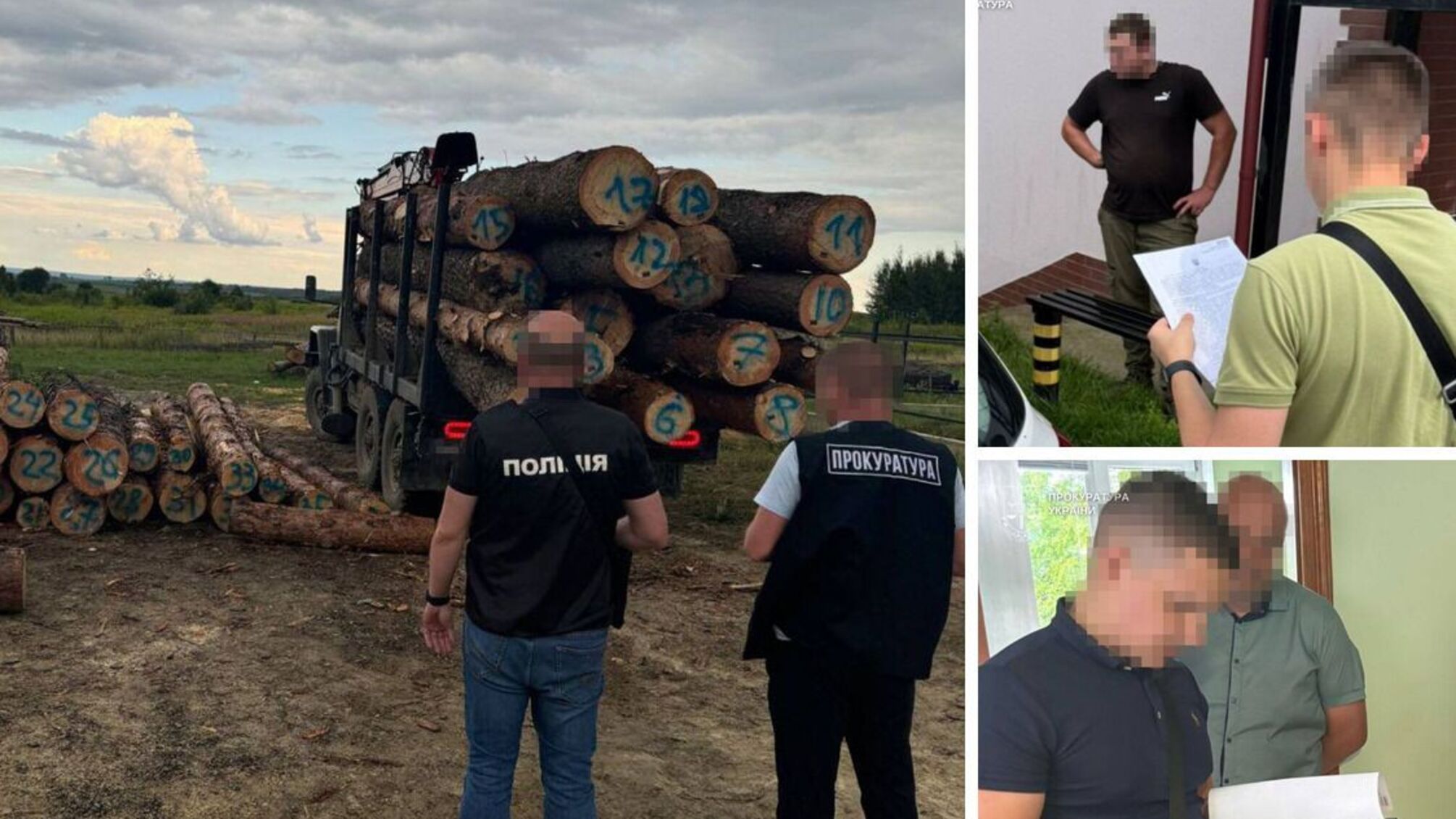 Во Львовской области разоблачили схему незаконной вырубки леса на 9 миллионов гривен