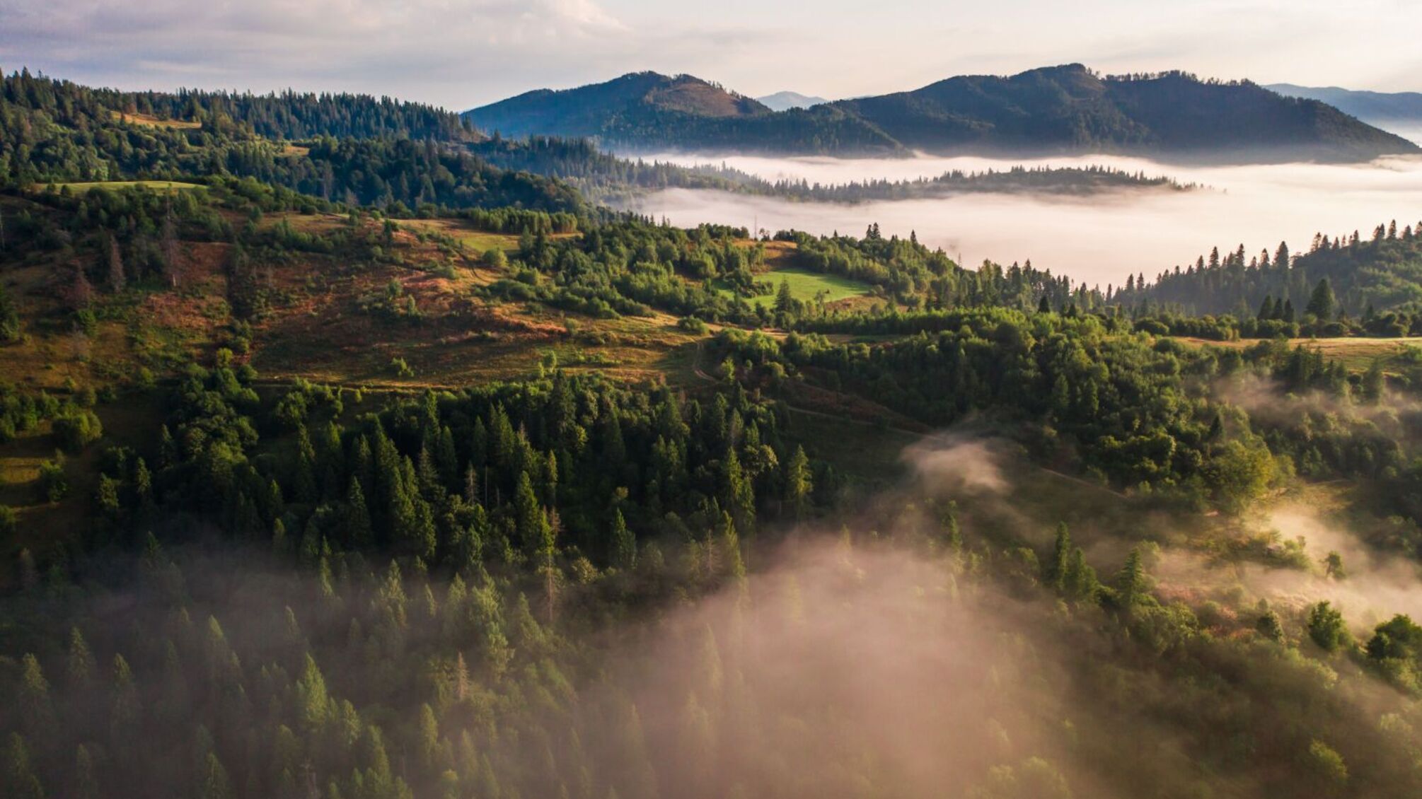 Хто святкує день янгола 20 січня: кого привітати сьогодні