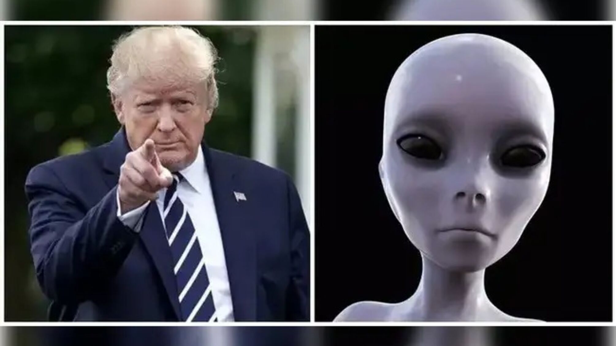 Дональд Трамп может объявить, что мы не одиноки – мнение режиссера
