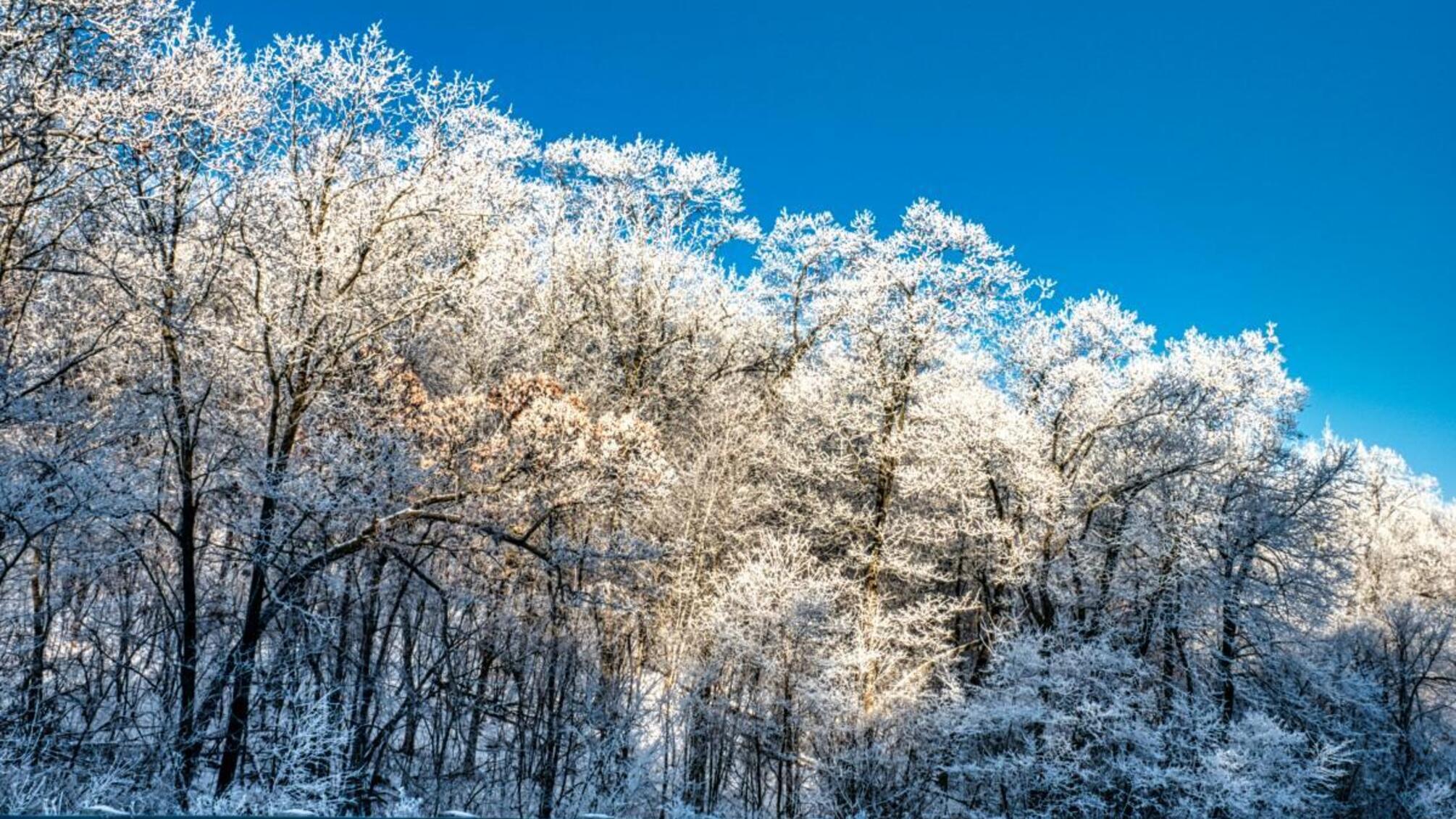 Грудневі морози: де і коли буде до -12°C в Україні