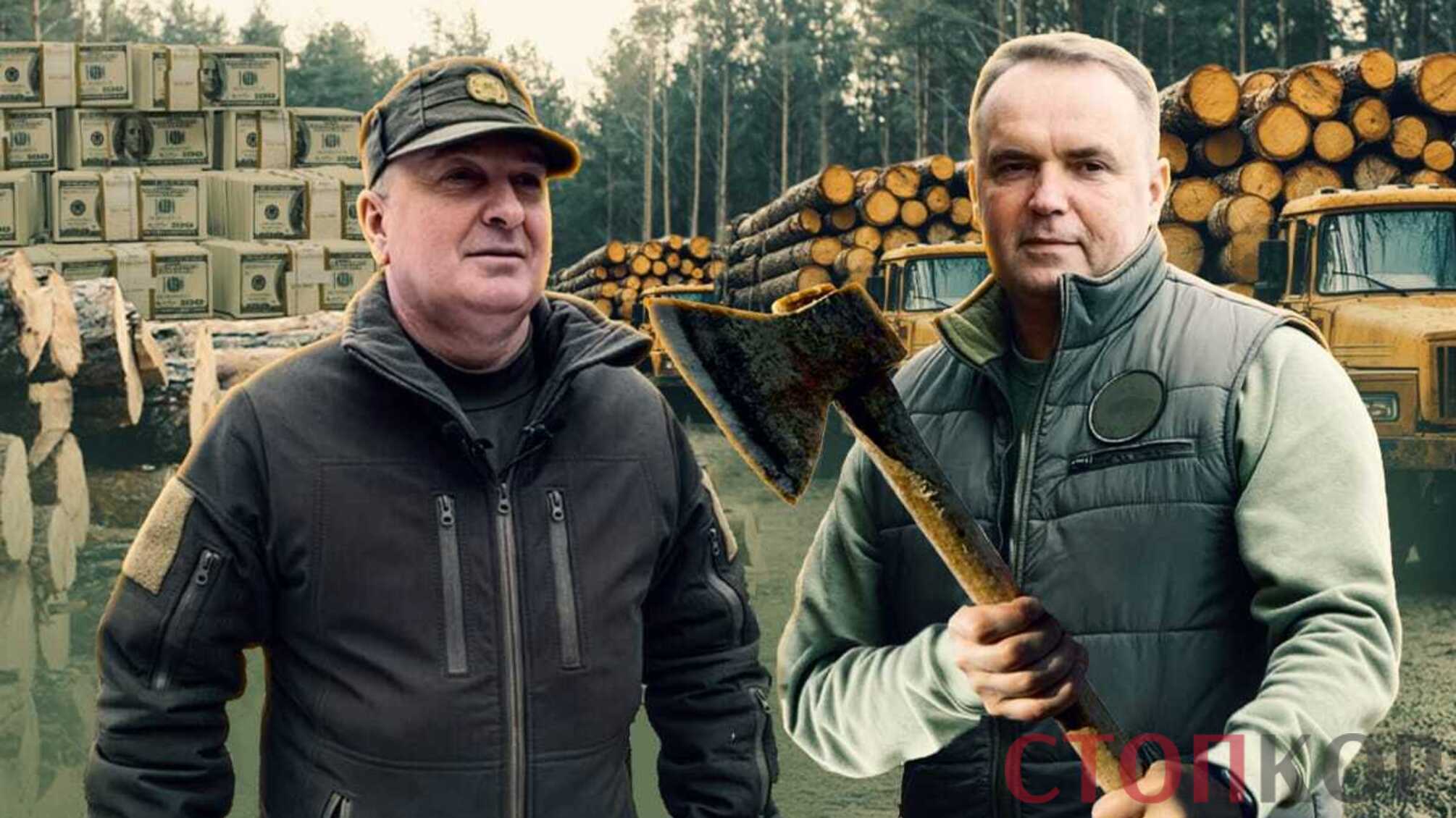 Вікові дуби – за ціною трухлявих дров: як 'пиляють' ліси Слобожанщини та хто такий 'Іван Іванович'