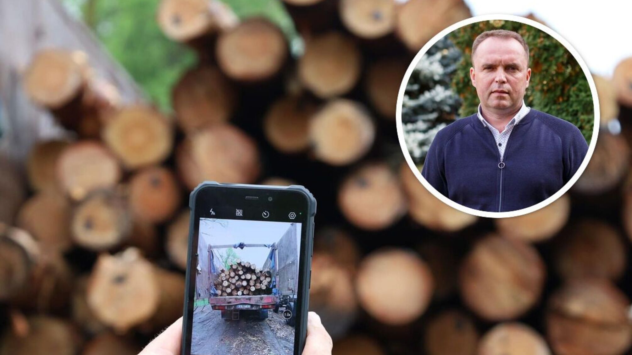 Елітний дуб за ціною дров: правоохоронці розслідують незаконні вирубки на мільярди на Харківщині 