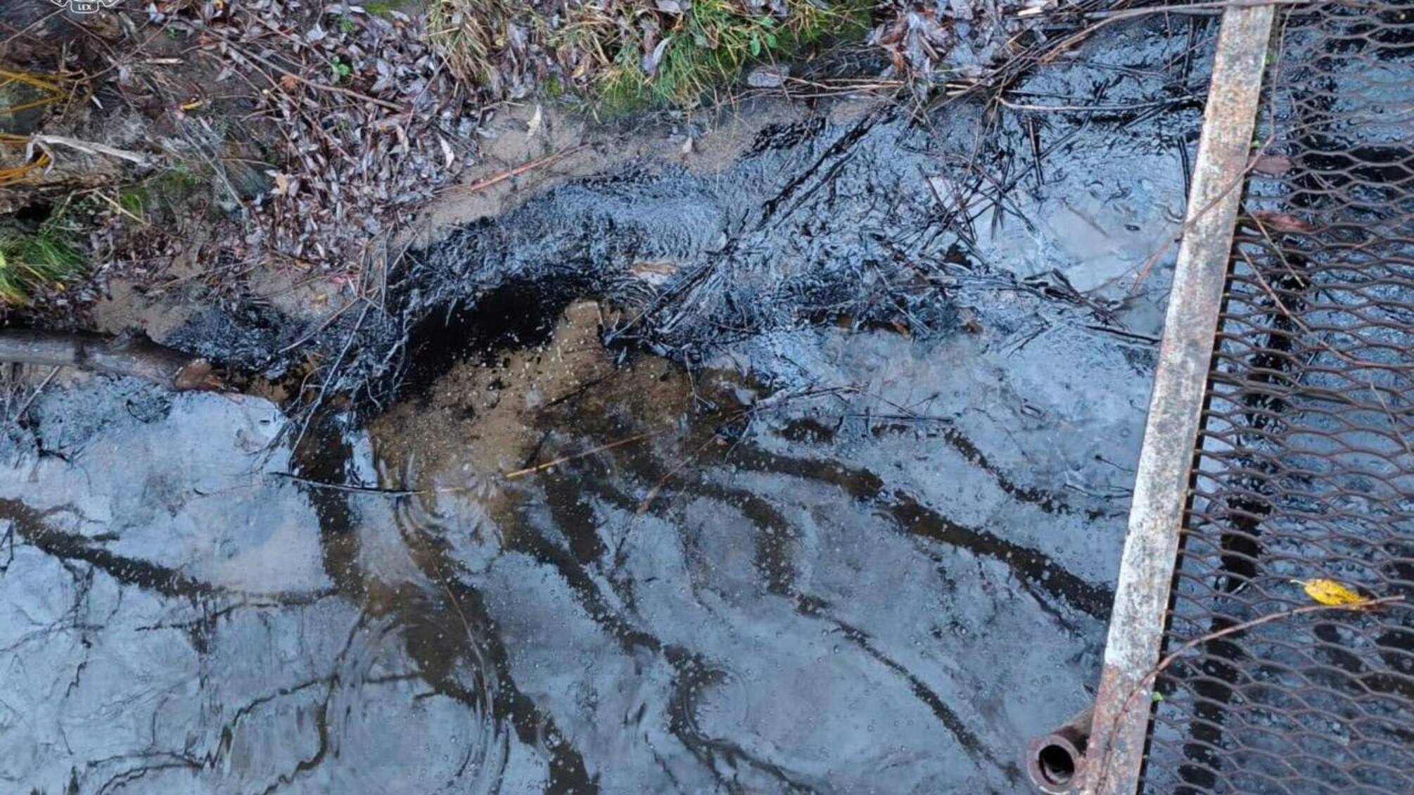 На Вінниччині зафіксували викид мазуту у Південний Буг біля Ладижинської ТЕС