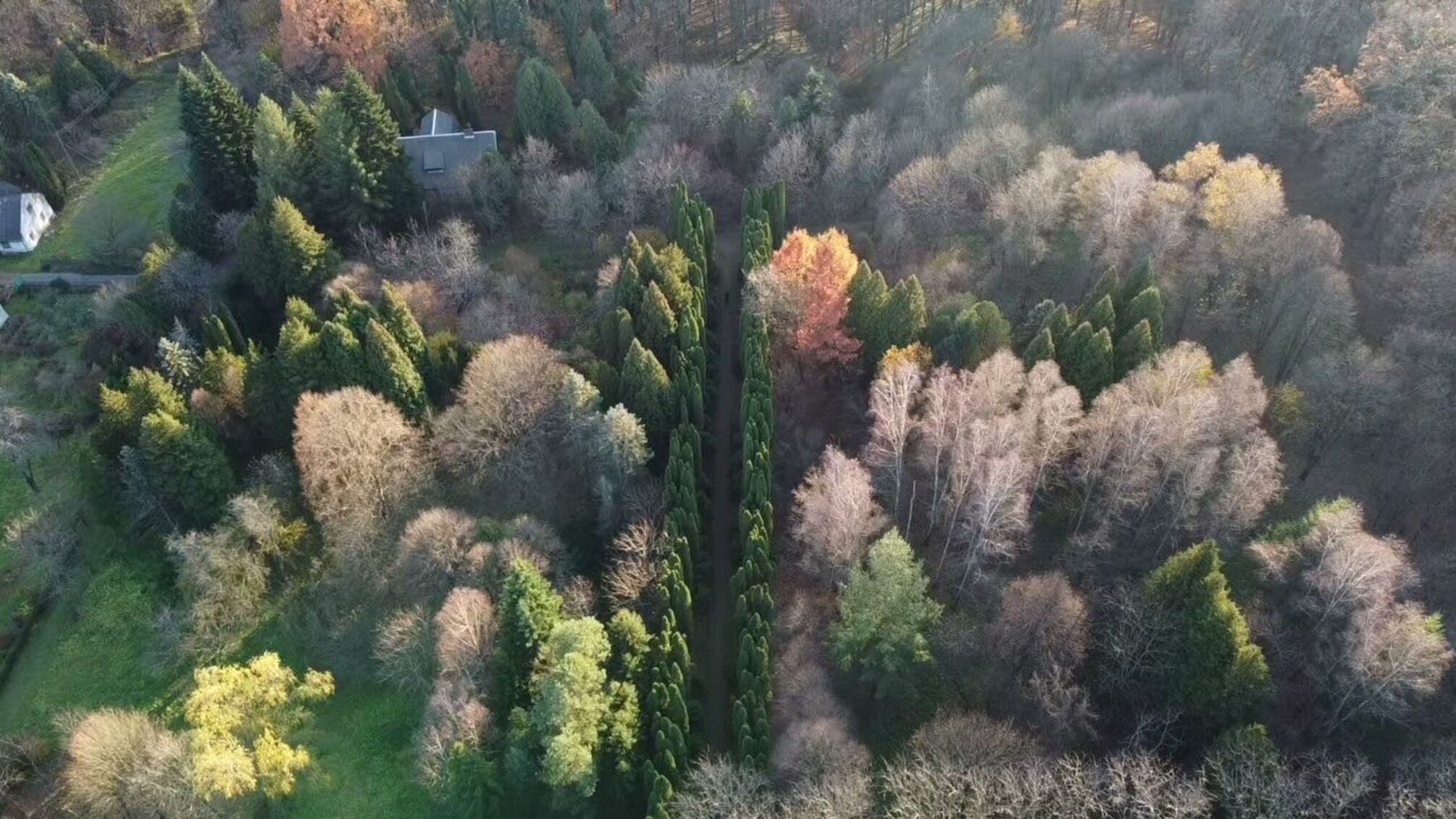 Арборетум в Страдче: зеленое сокровище Львовщины
