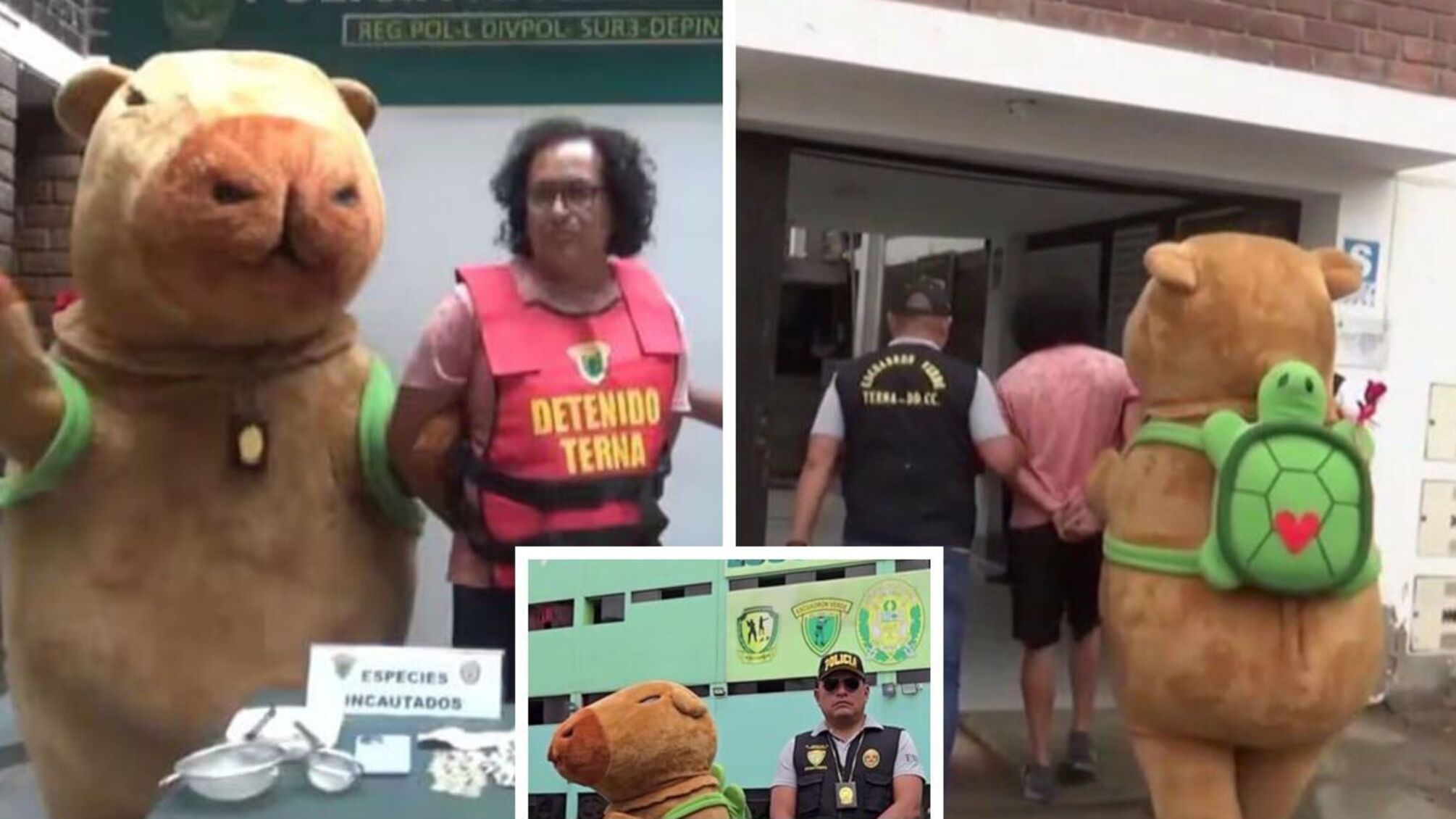 Перуанська поліція у костюмі капібари затримала наркоторговця