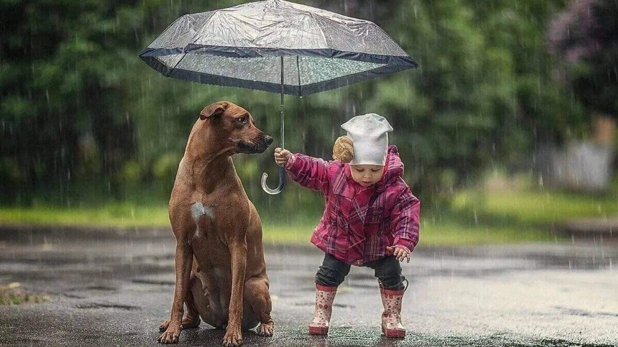 17 лютого – день, коли доброта править світом