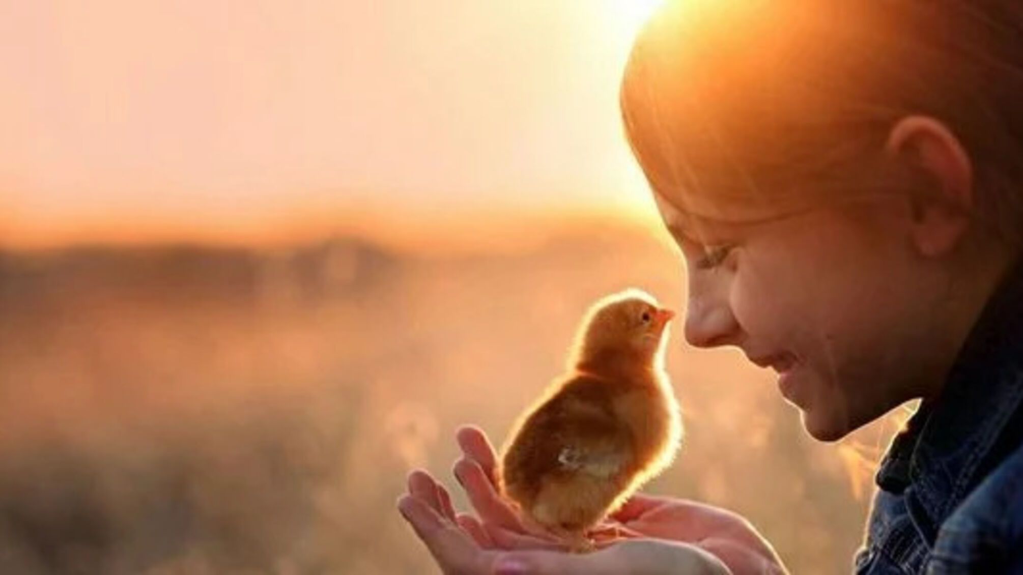 Кто празднует день ангела 18 февраля