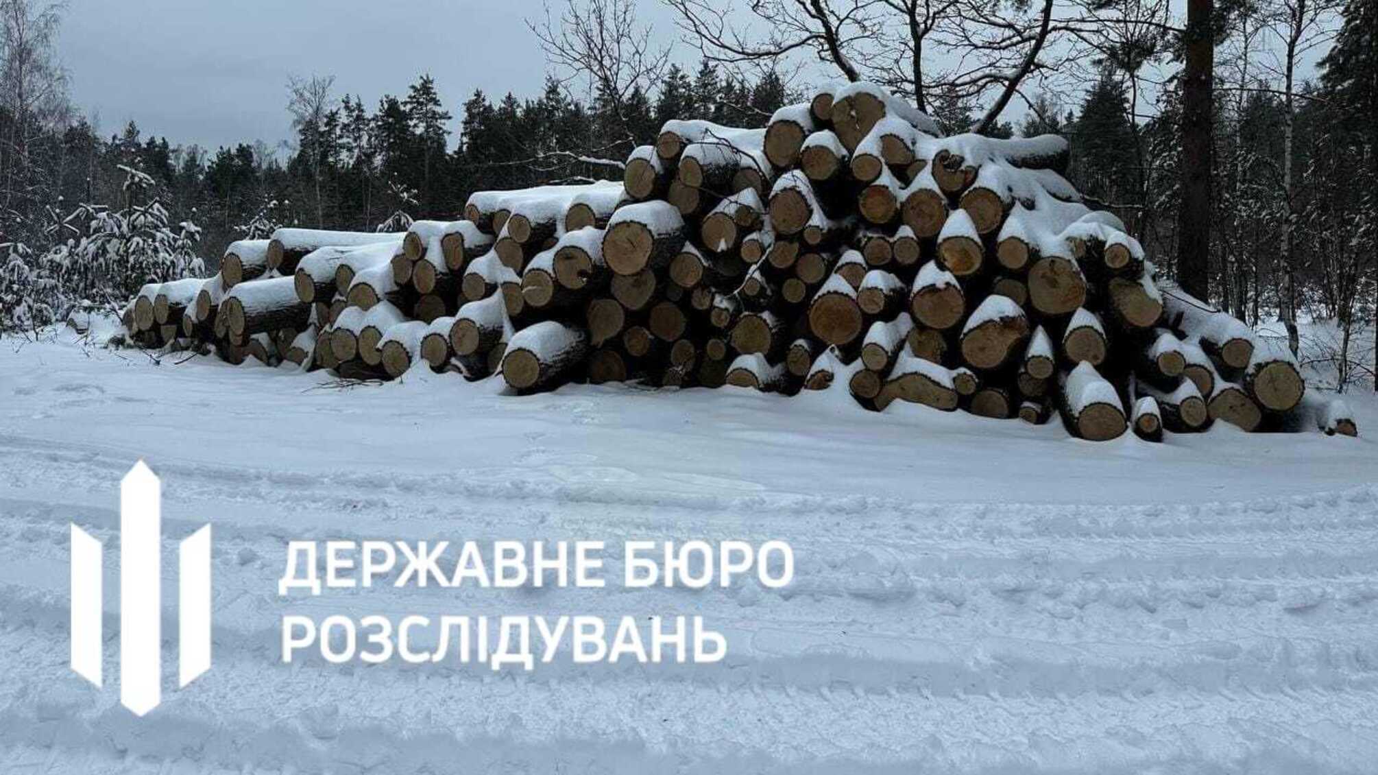 Вирубка 185 столітніх дубів у Чорнобильській зоні