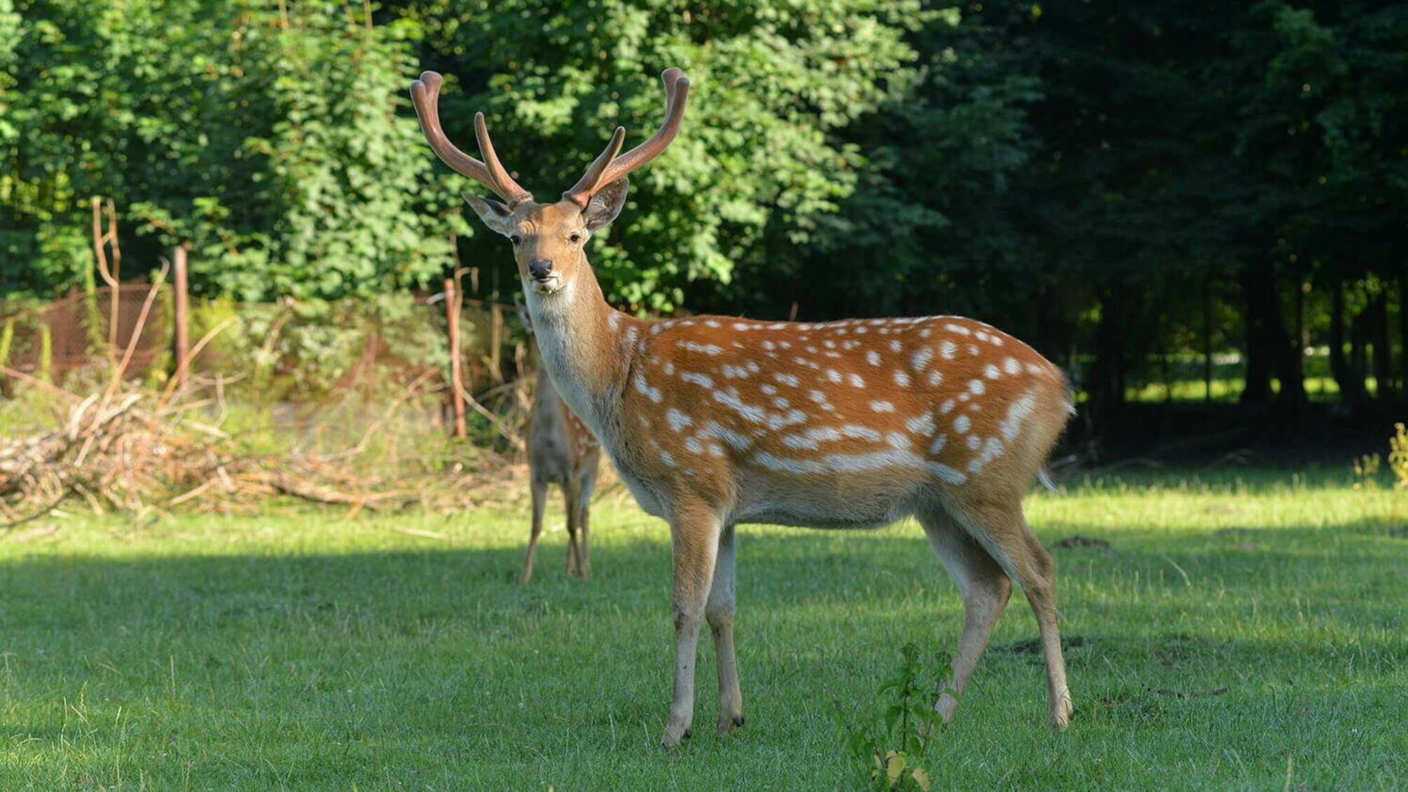 Зоологический парк «Источник»