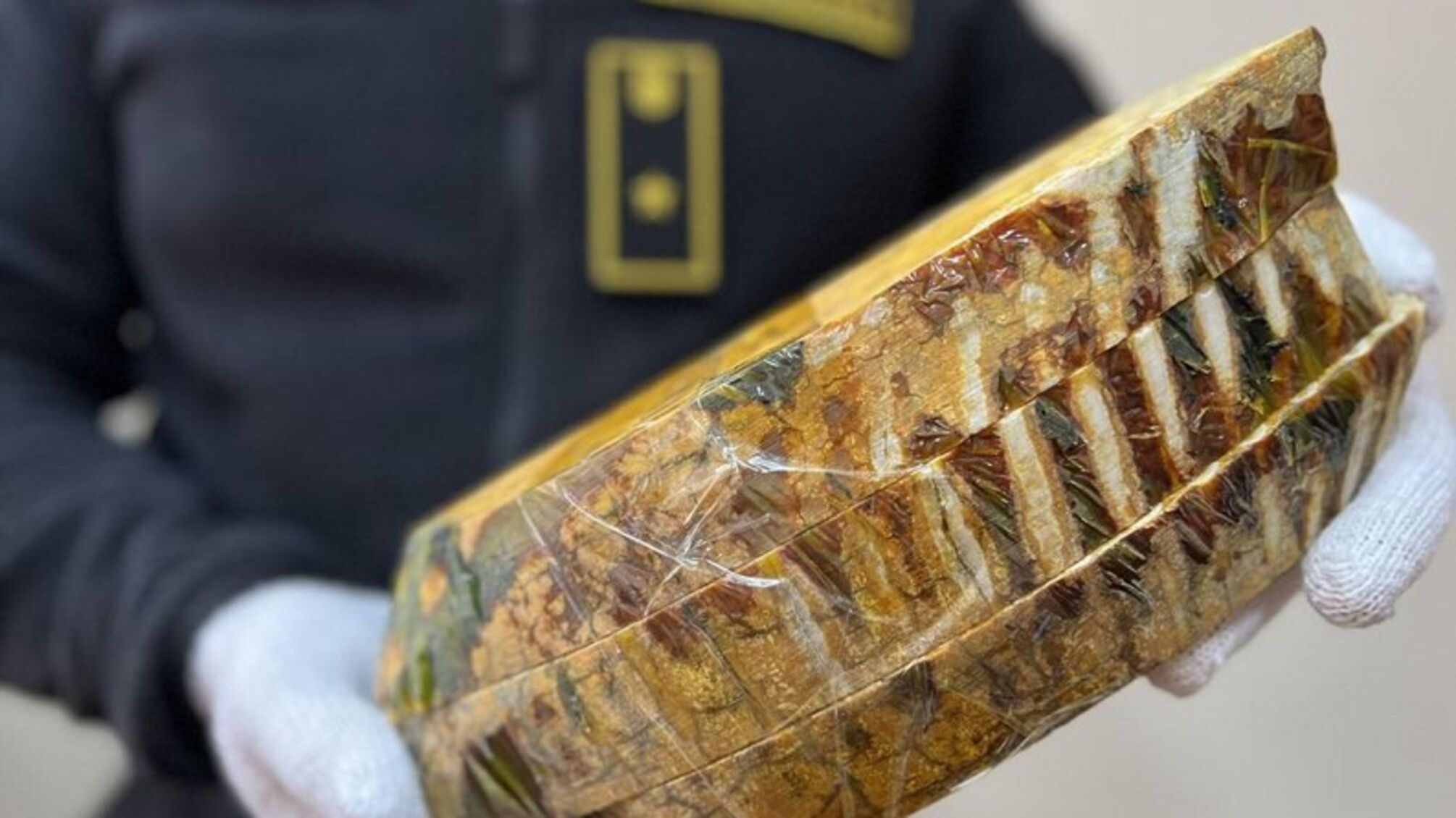 Украинские таможенники сорвали схему контрабанды зубов мамонтов