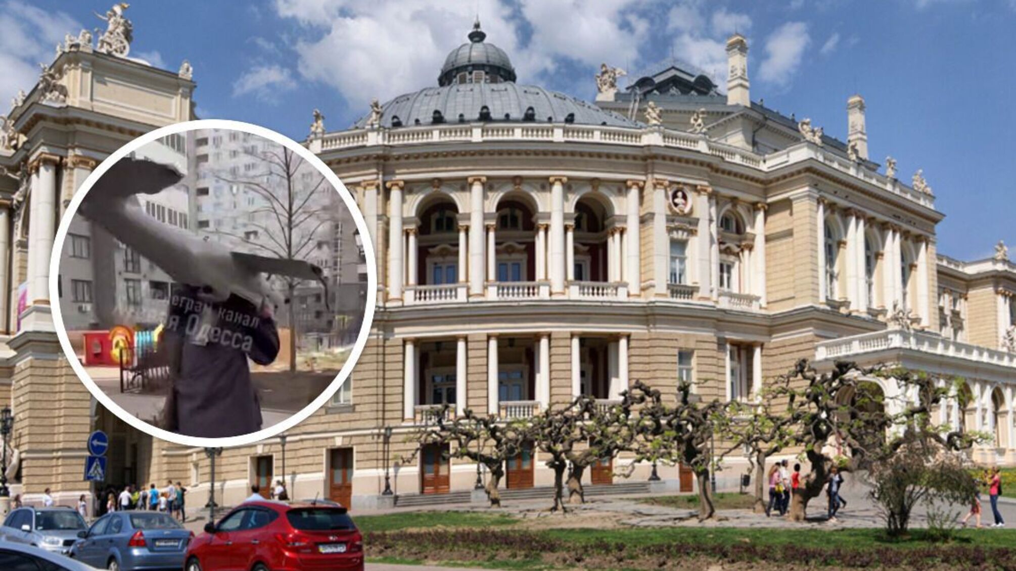 Незвичне видовище в Одесі