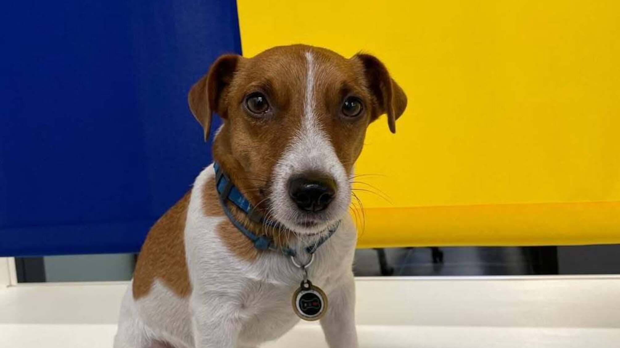 Звернення Патрона до війни