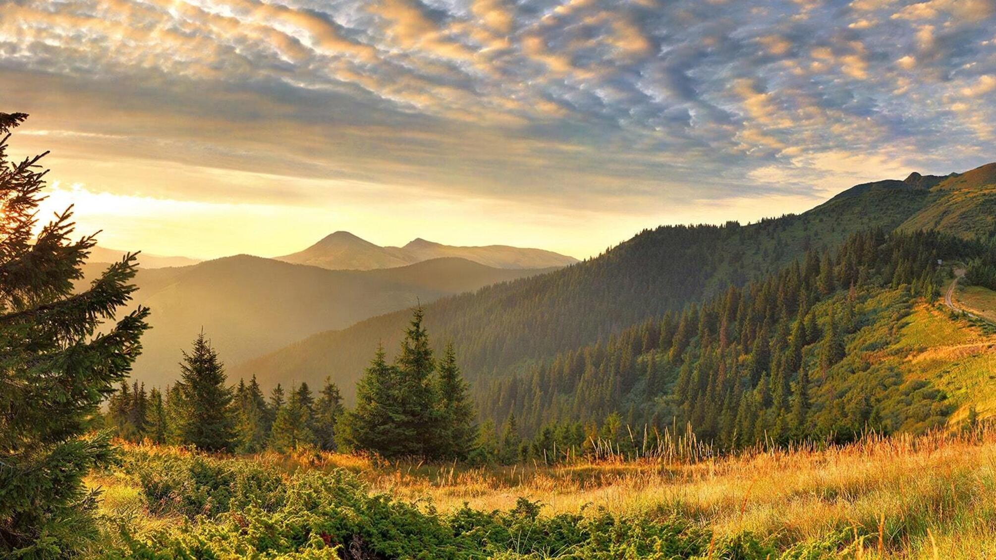 Путешествуем по Закарпатью