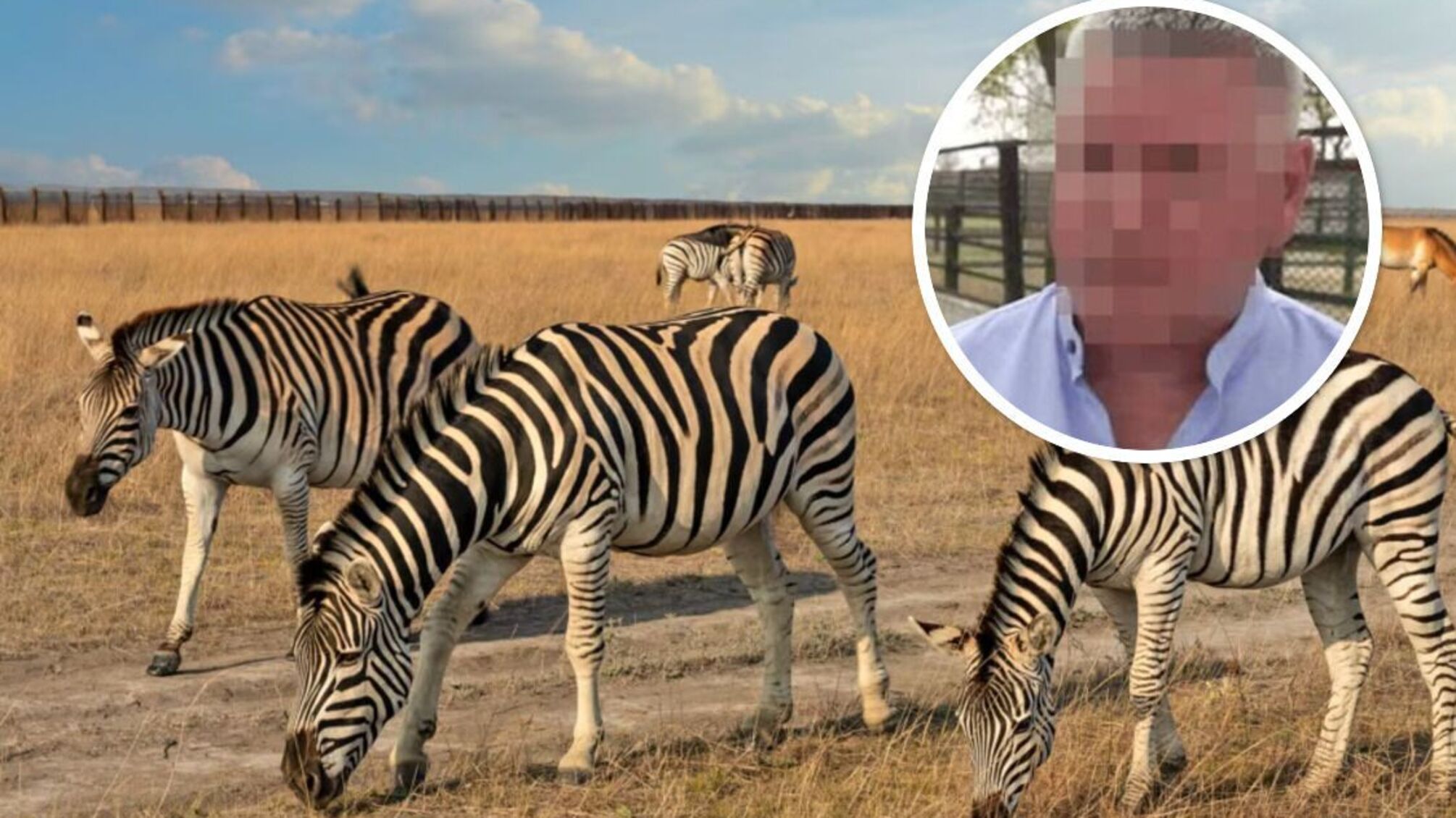 Прокуратура разоблачила незаконные действия чиновника 'Аскании-Нова'