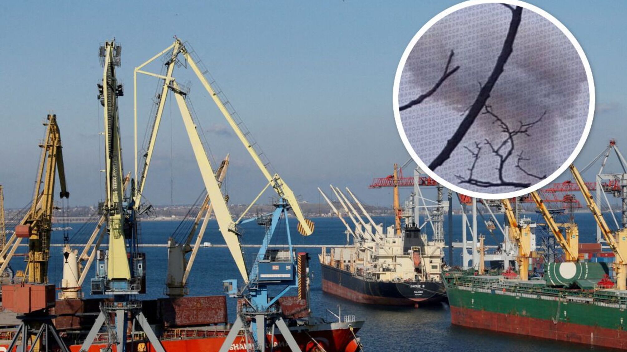 Росія атакувала одеський порт