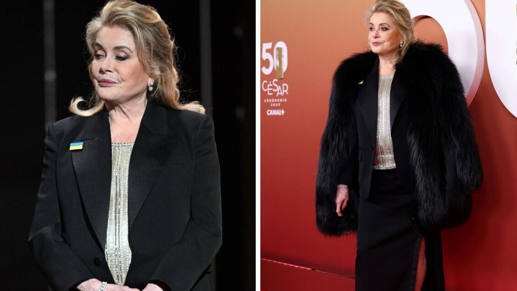 Катрин Деньов поддержала Украину на 50-й церемонии 'Сезар'