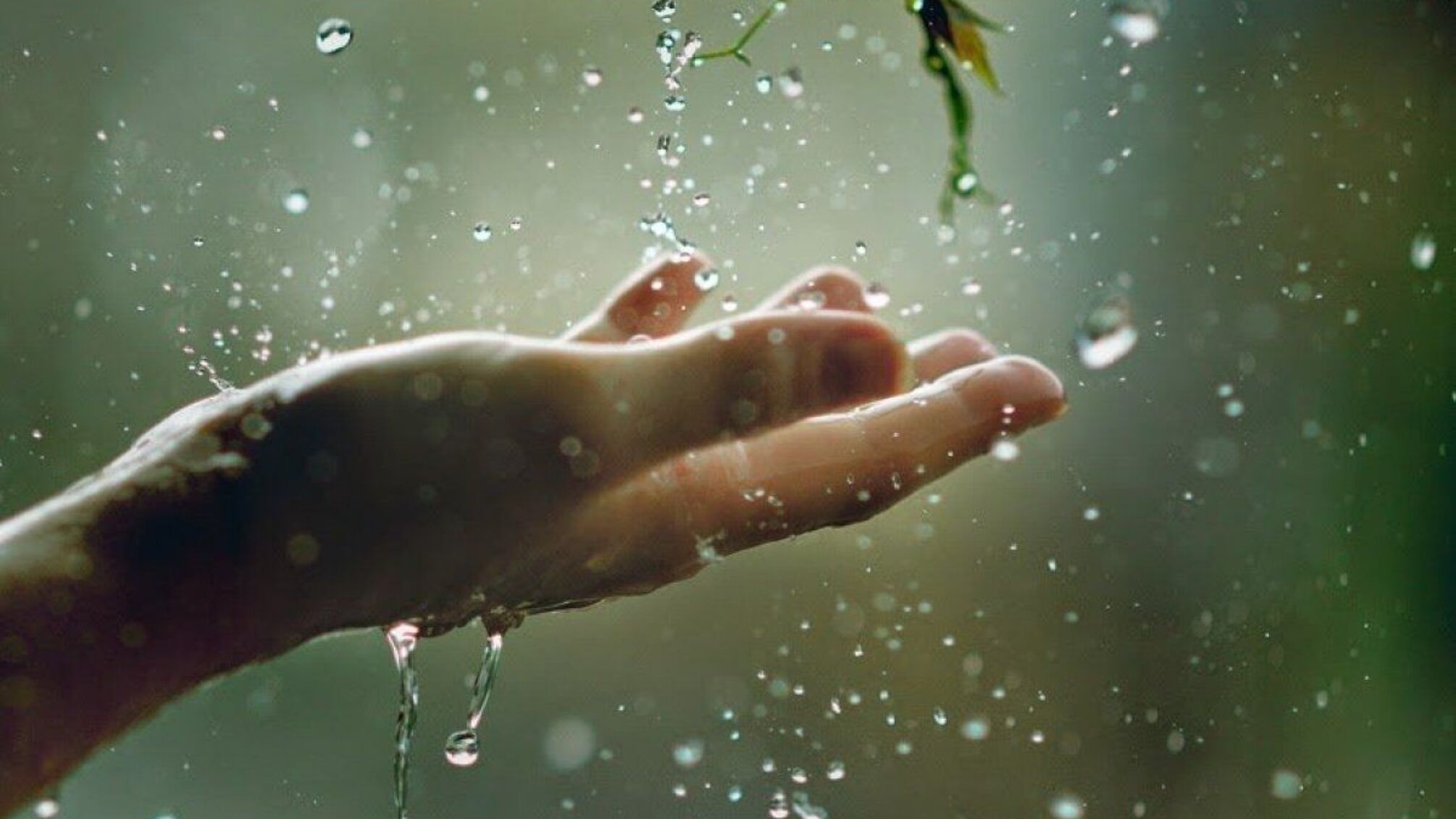 прогноз погоди на 12 березня в Україні