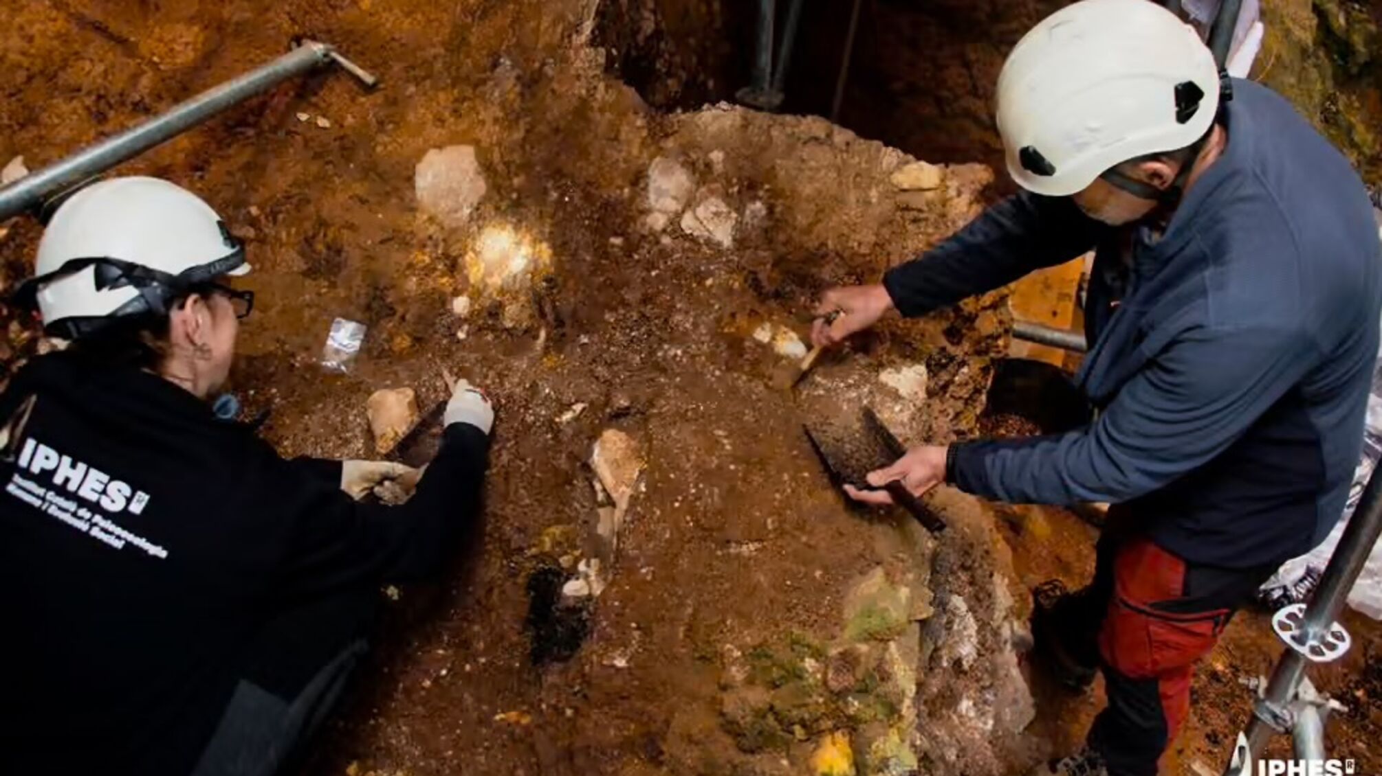 Исследователи нашли останки древнего предка человека в возрасте до 1,4 млн лет