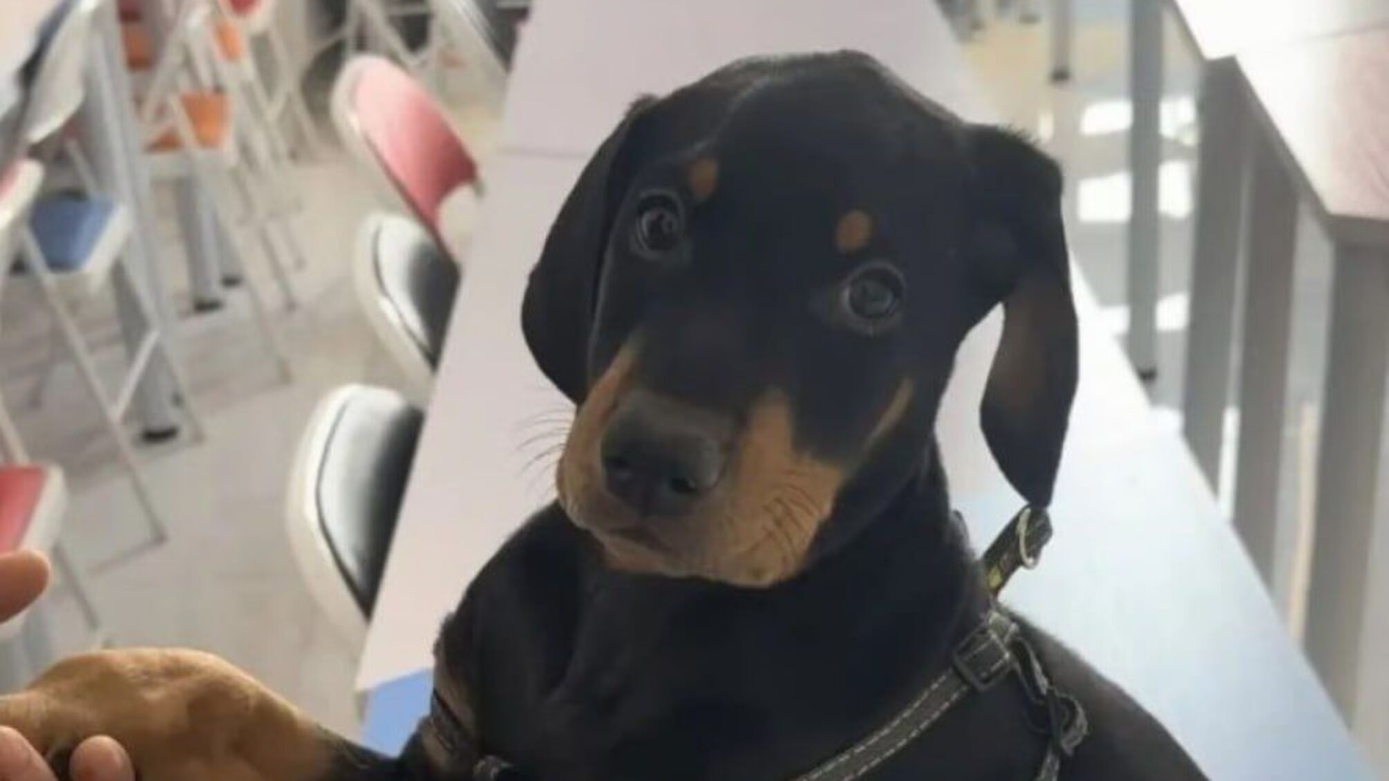 South China Morning Post