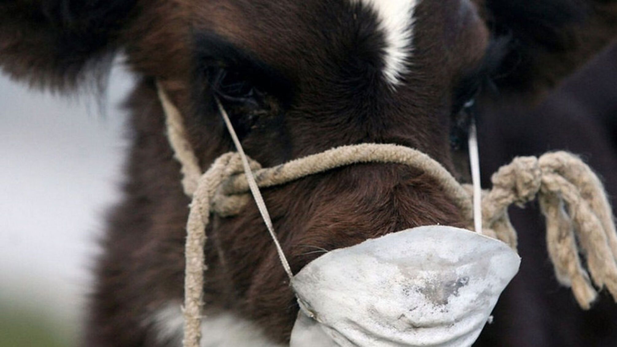 Україна посилює заходи безпеки