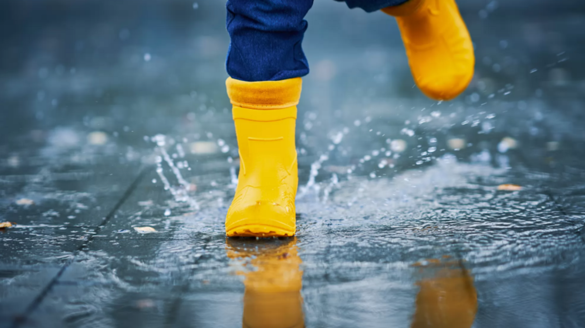 Атмосферный фронт принесет осадки и сильный ветер