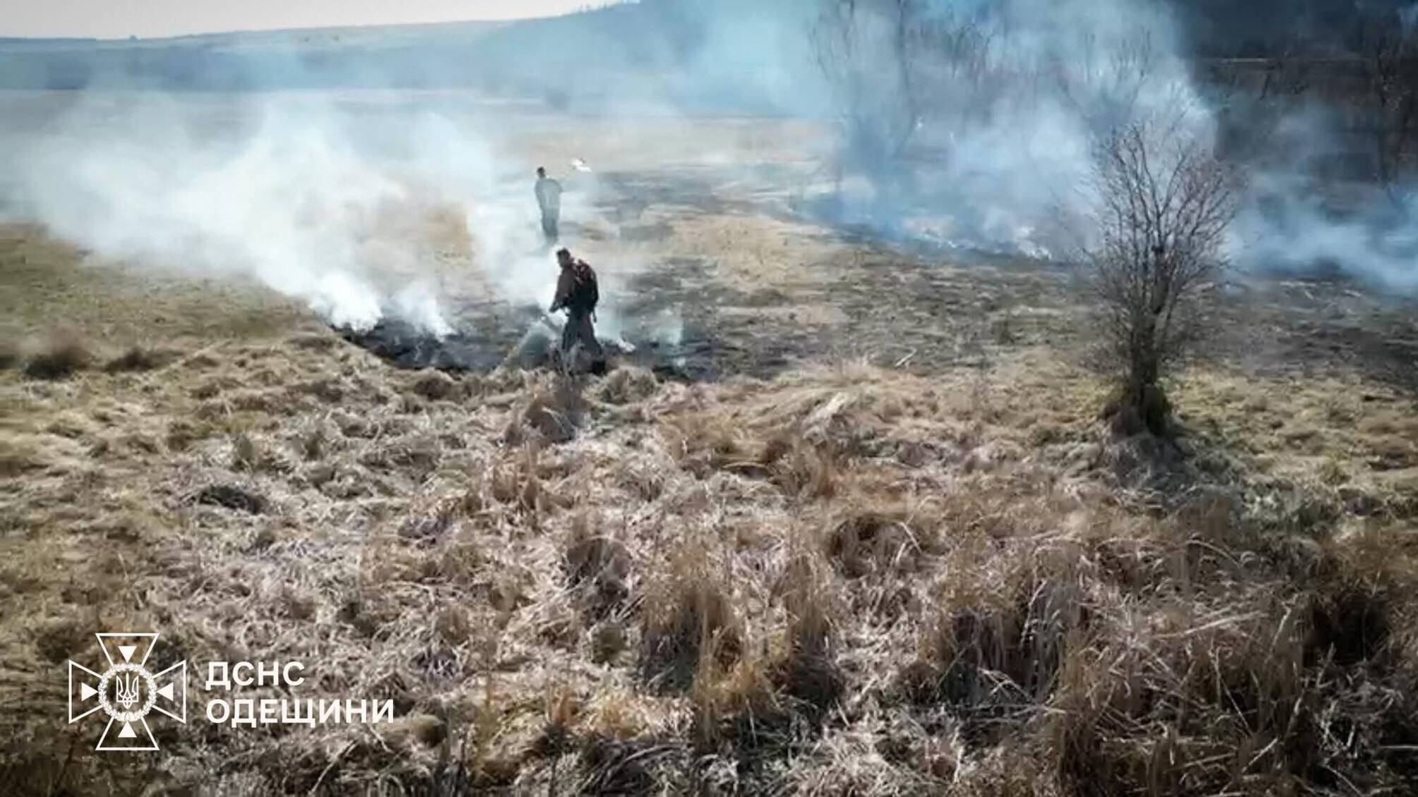 Одещина в огне: спасатели призывают беречь природу