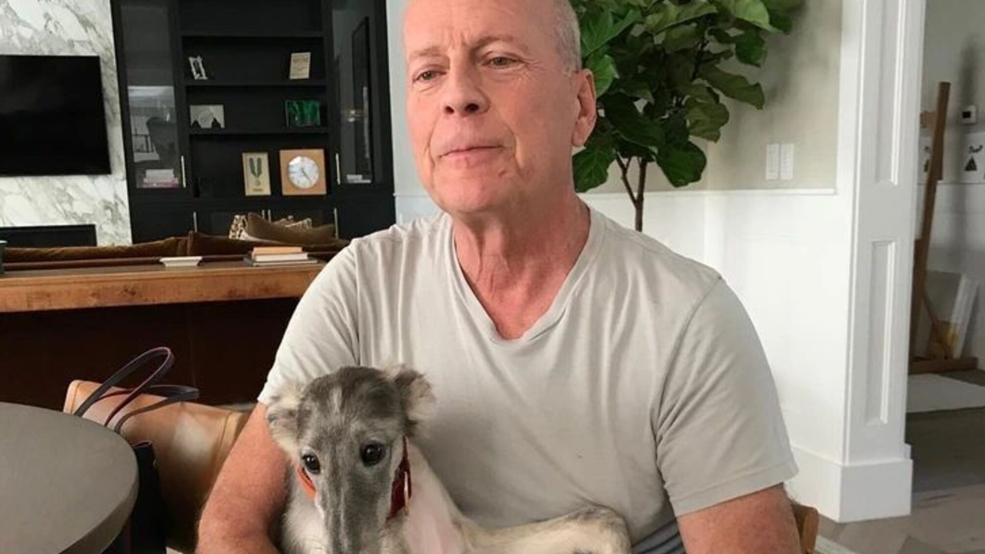 70 лет Брюсу Уиллису: путь «крепкого орешка» и его борьба с деменцией