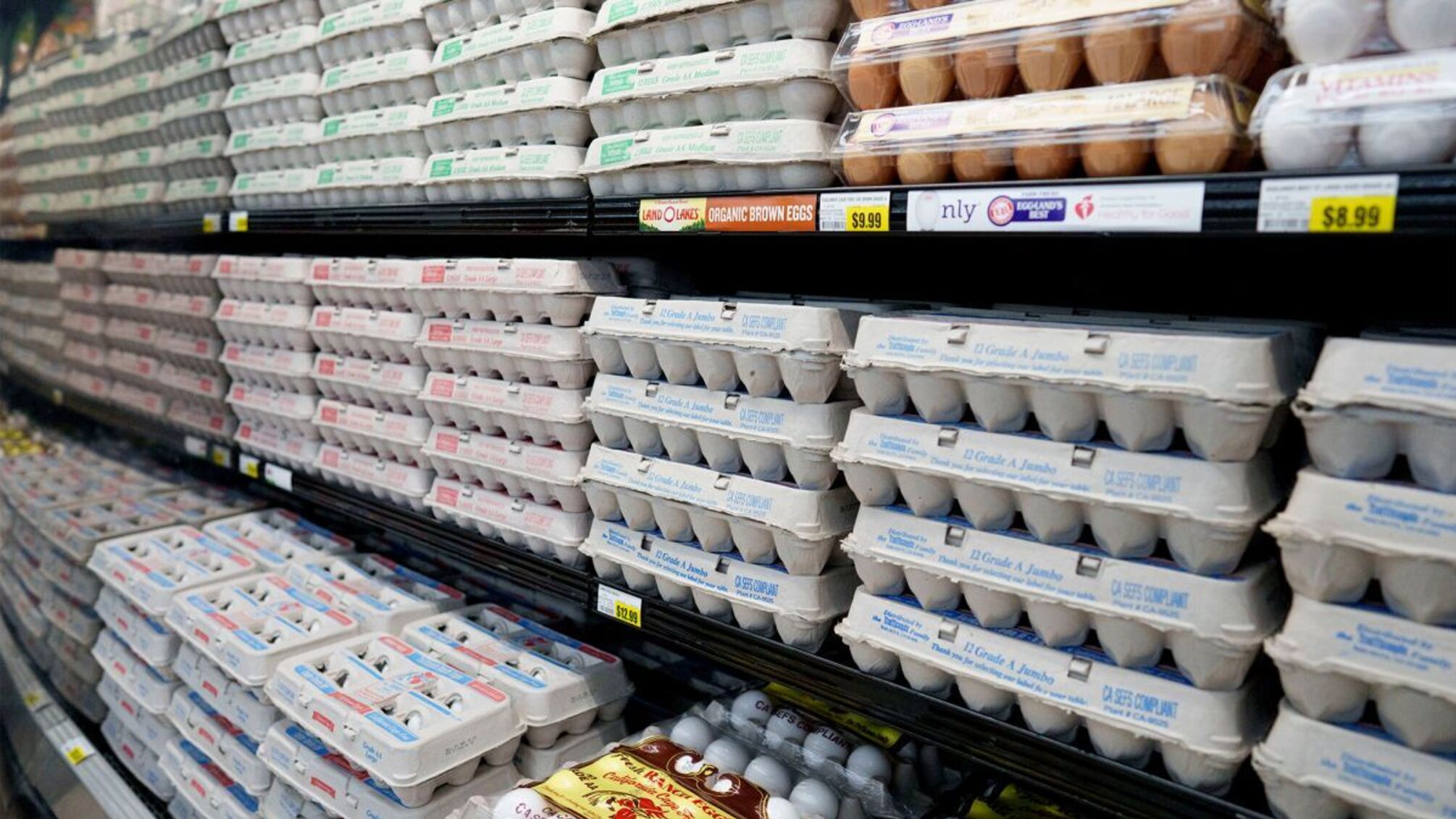 Цены на яйца выросли на 65% в 2024 году - пресс-секретарь Белого дома