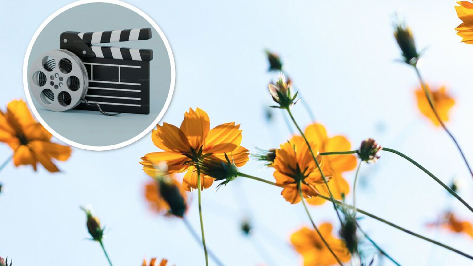 Сборник кино от СК Лайф, весна