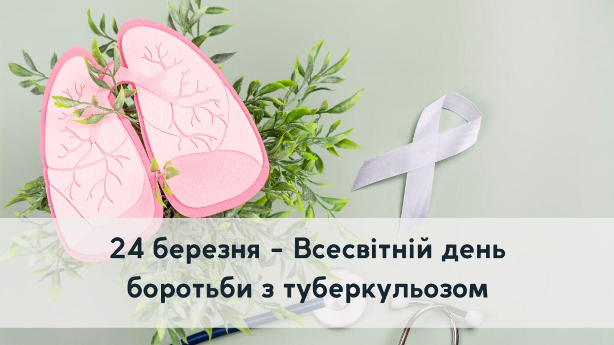 24 марта - день, когда мир говорит о туберкулезе