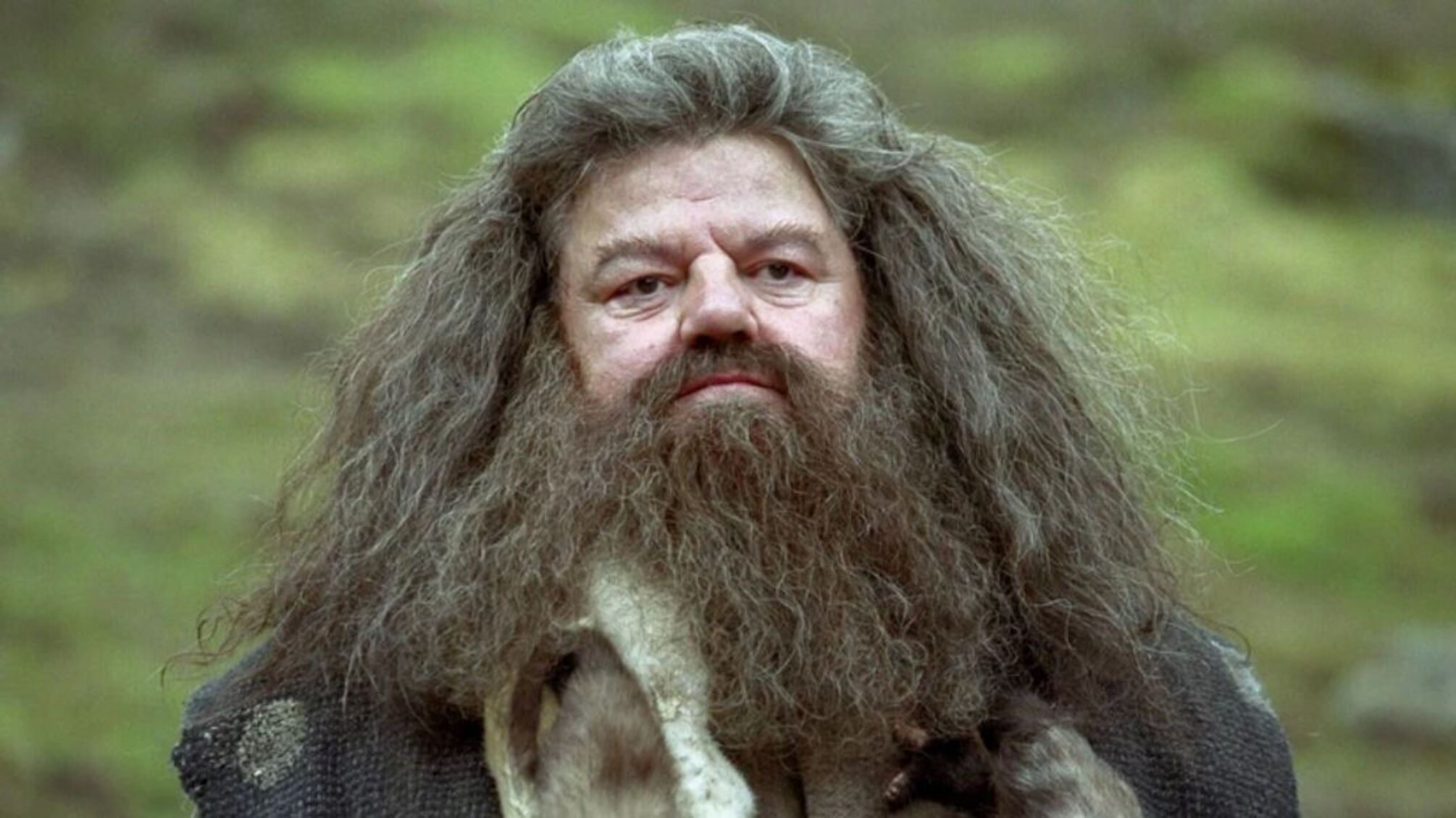 Стало известно, кто сыграет роль Хагрида в новом сериале о Гарри Поттере