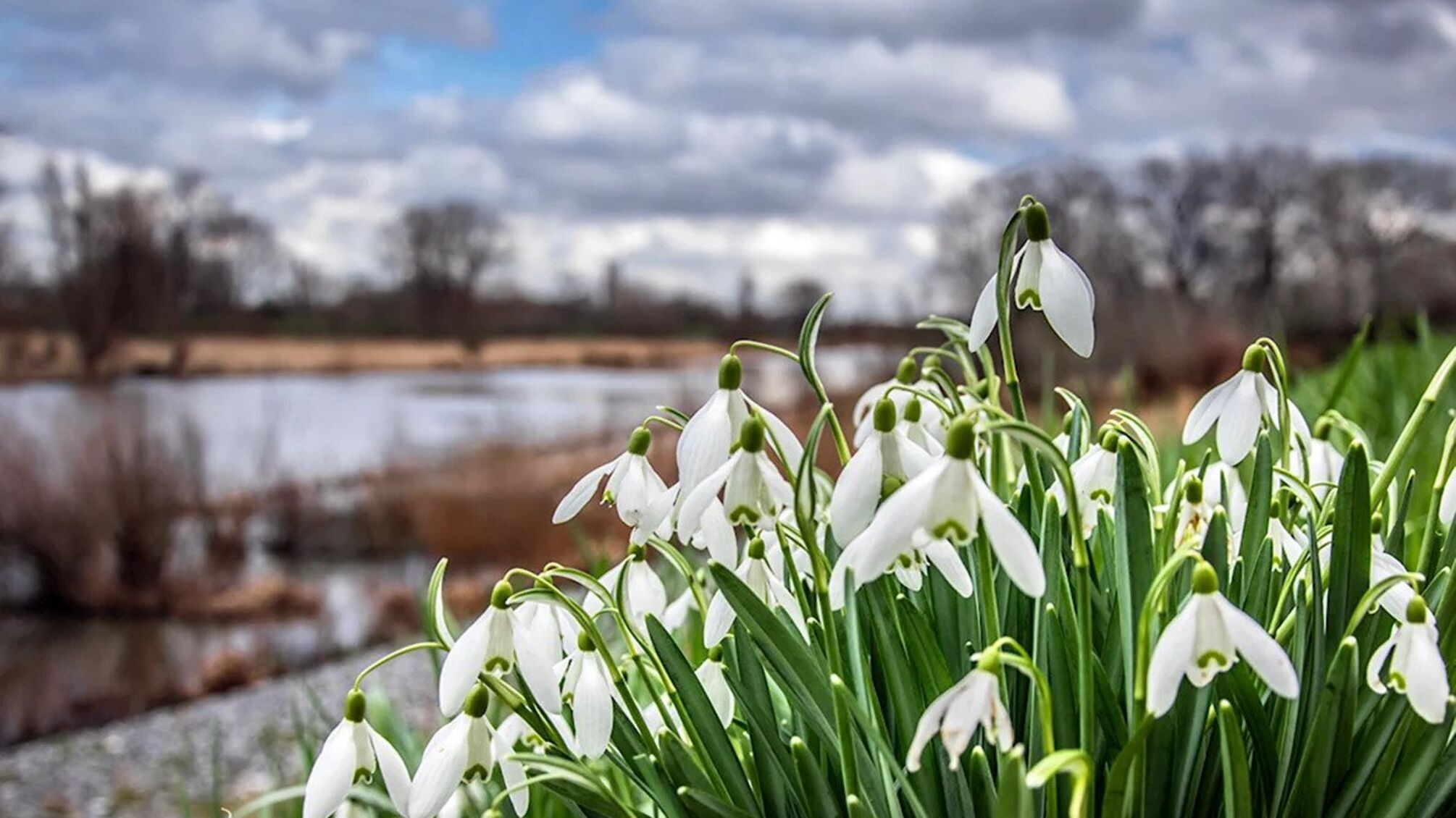 Прогноз погоди в Україні на 5 березня