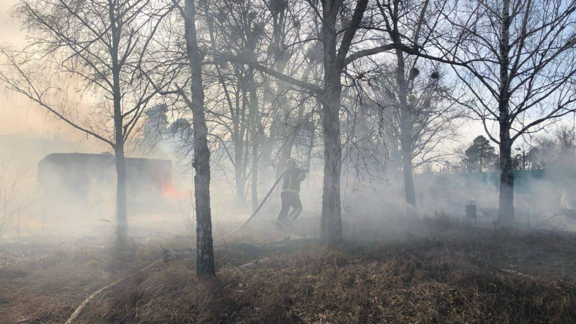 Пожар сухой травы в Киеве