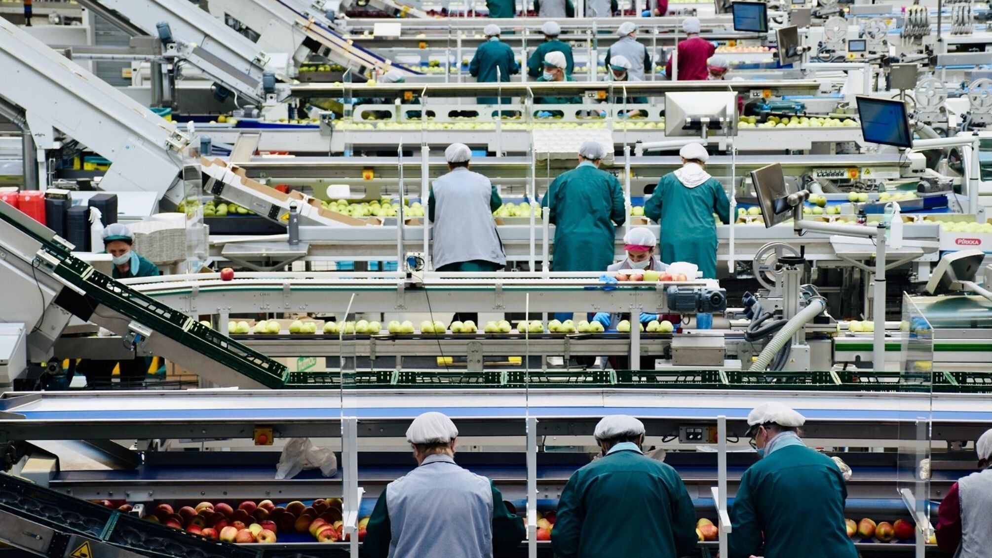 Малі та середні підприємства: рушії змін на шляху до відновлення