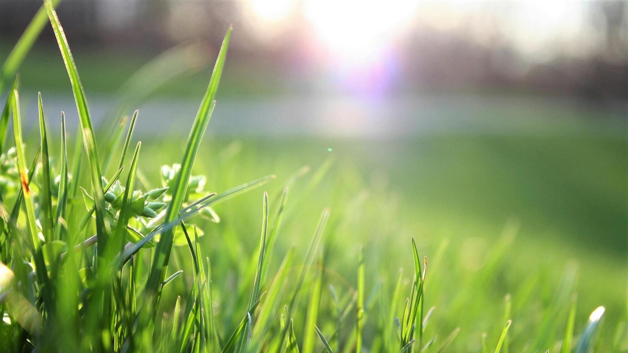 Наталка Діденко прогнозує сухий і теплий тиждень перед Великоднем