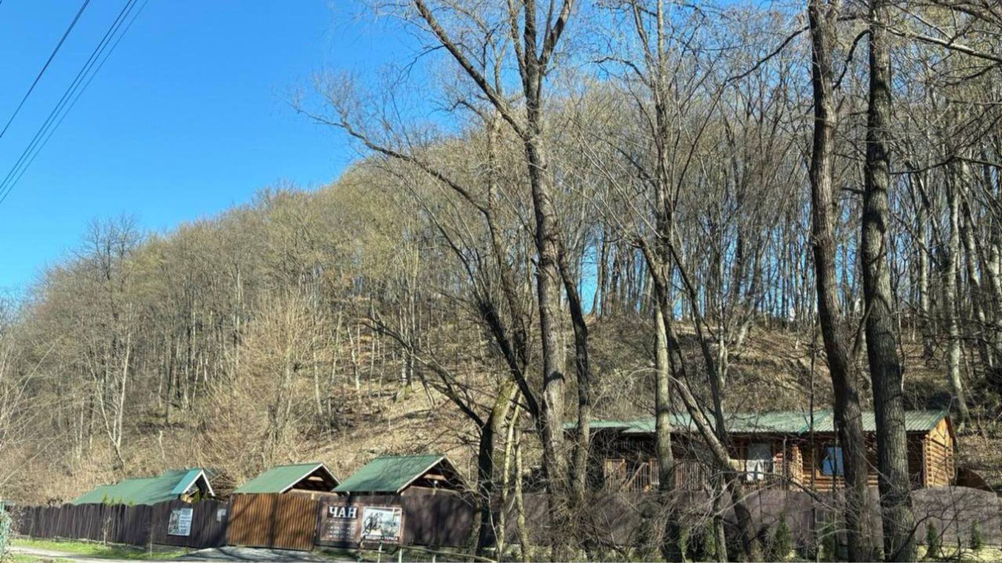 Семья судьи Деметрадзе хотела взять в аренду на 49 лет рекреационную землю в Закарпатье из-за брата из Чехии